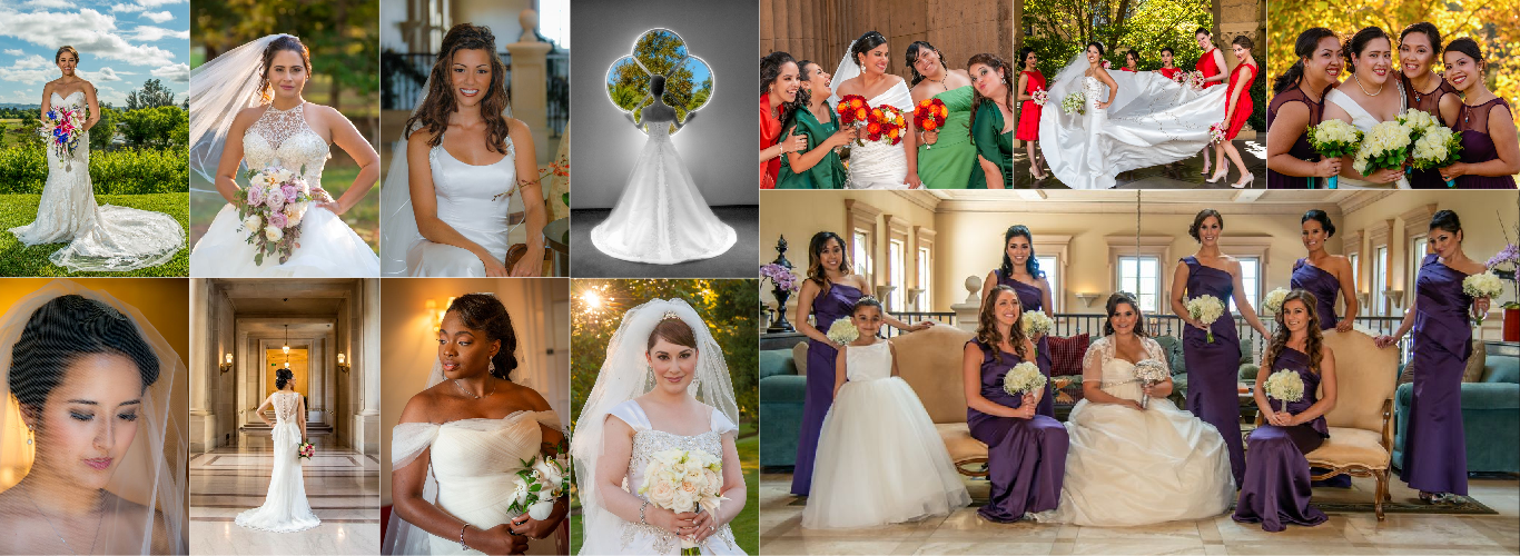 graphistudio wedding albums by monterey photography