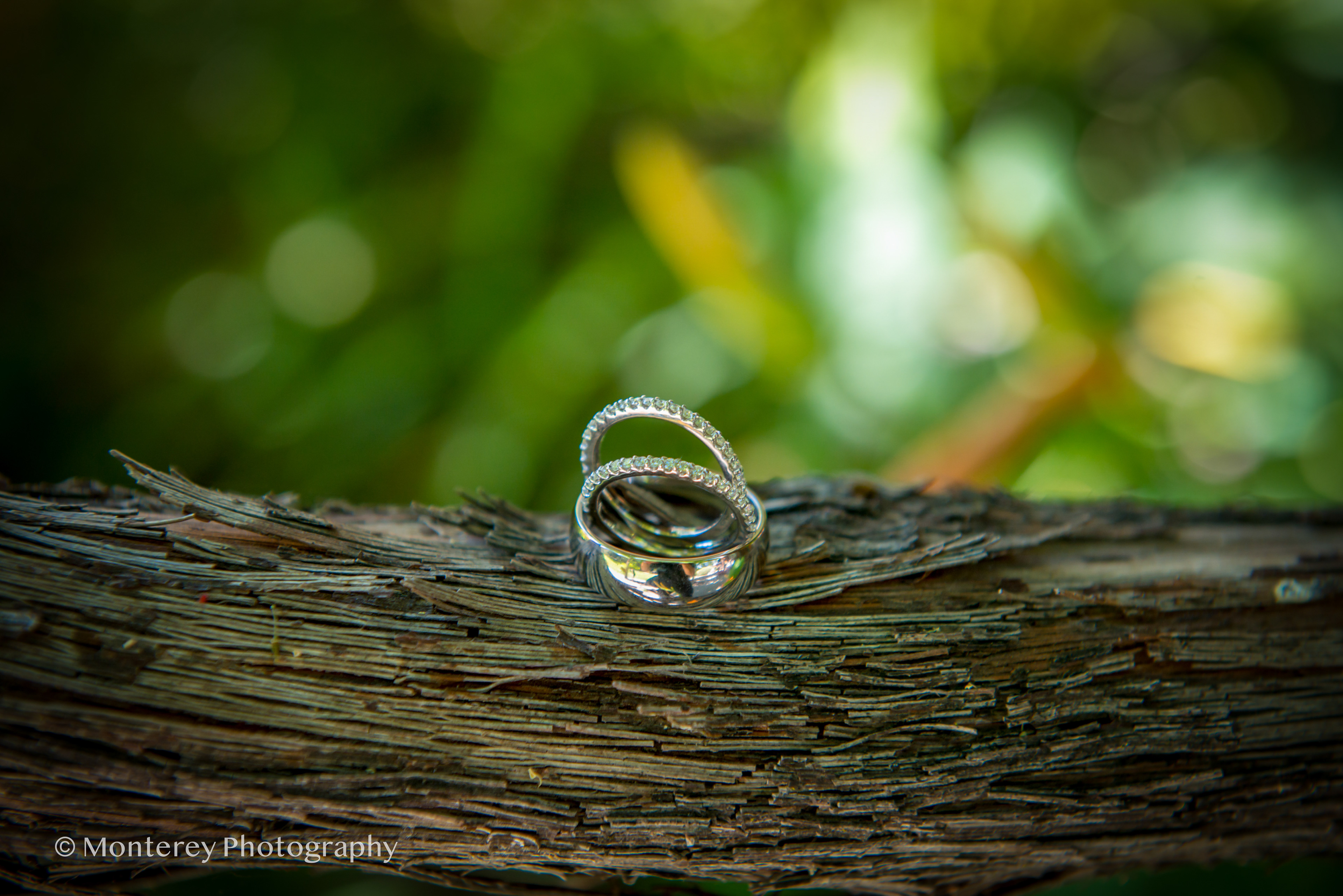 Carmel Valley Ranch Wedding Photos