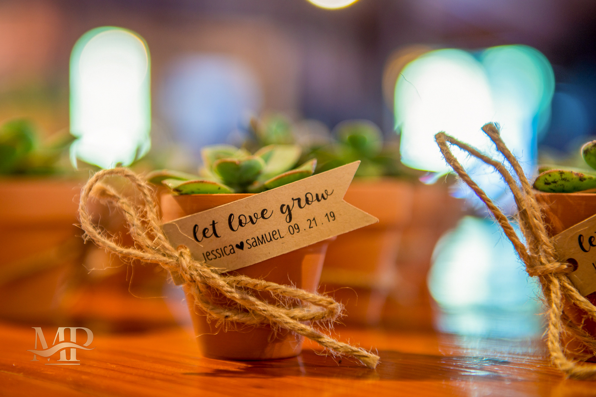 Big Sur River Inn Wedding Photography