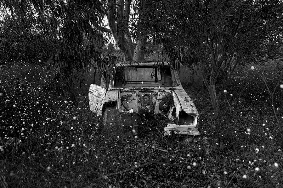Abandoned car II
