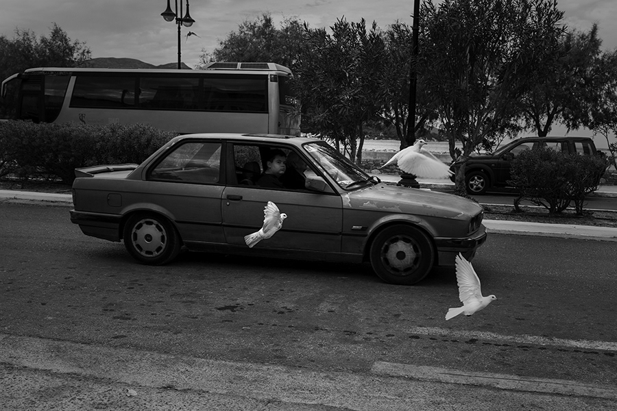 White doves on the island of Samos. Samos in Greece,2024
