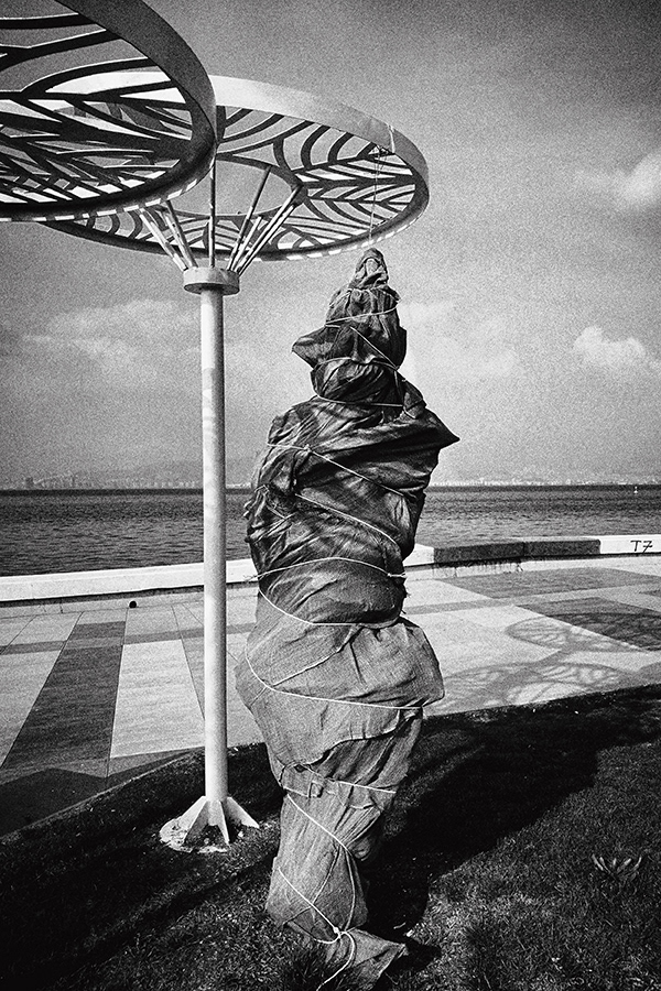 Cover that protects palm trees from the cold