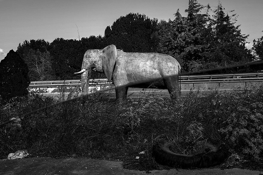 Elephant statue in the garden of an old factory