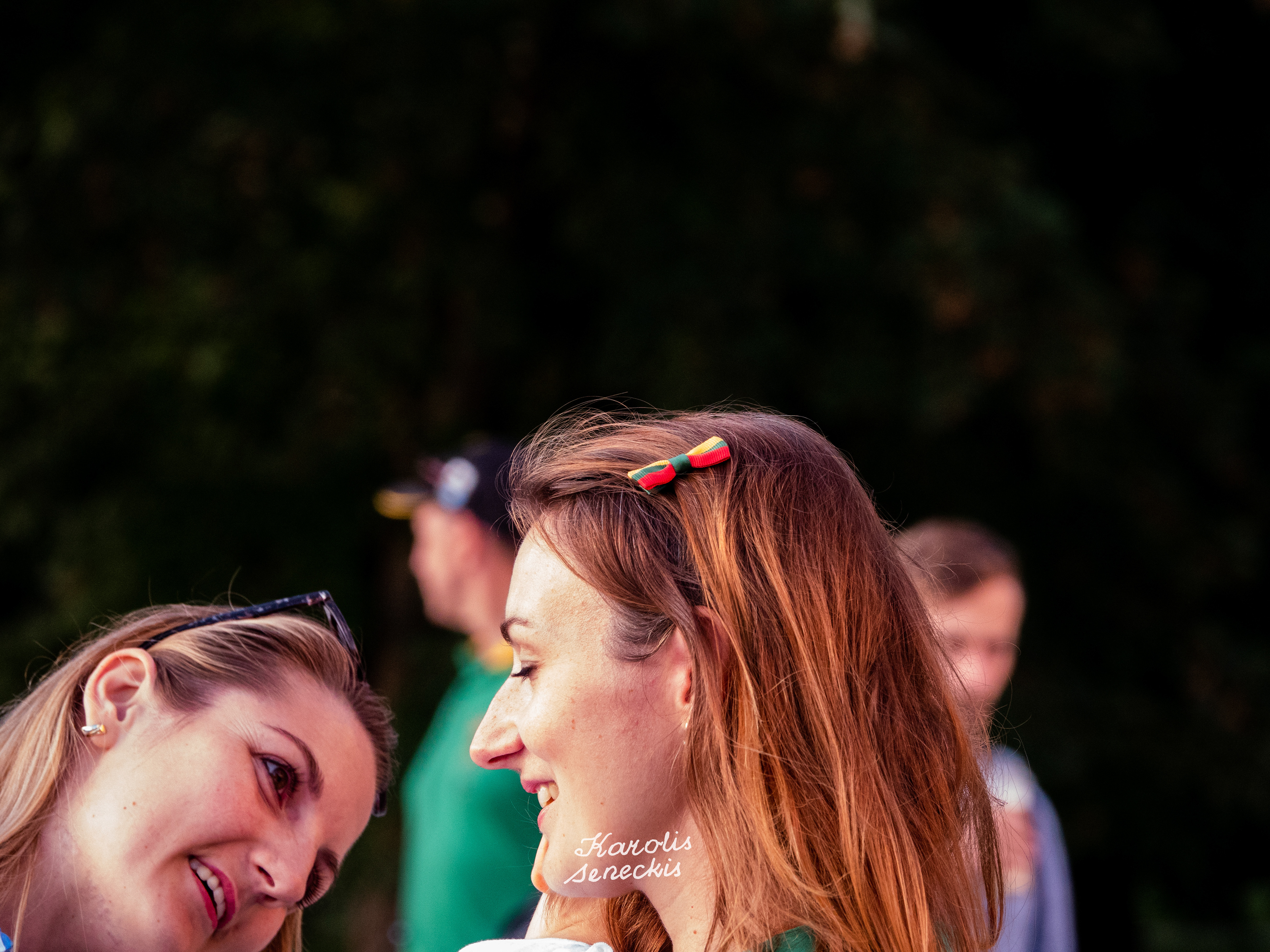 Day of Restoration of the State of Lithuania 