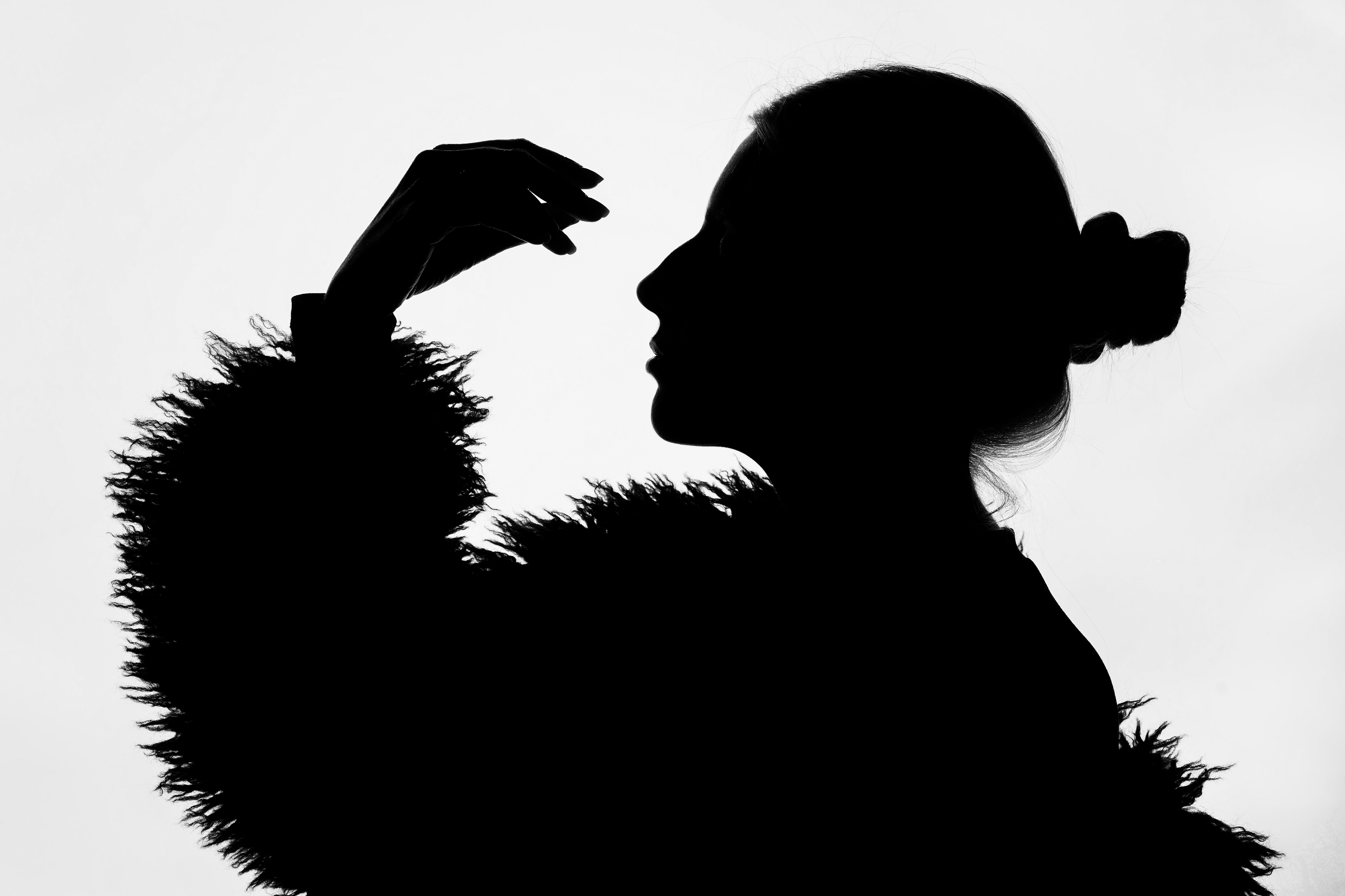Silhouette