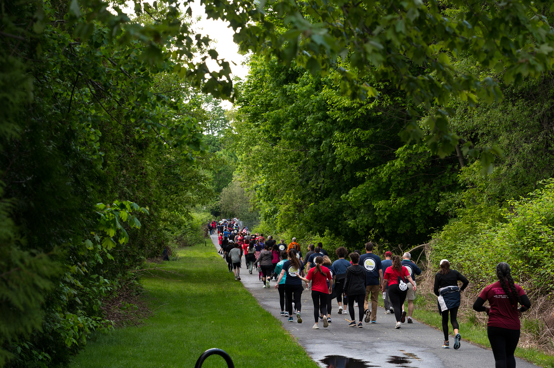 Corporate 4k Marlborough 