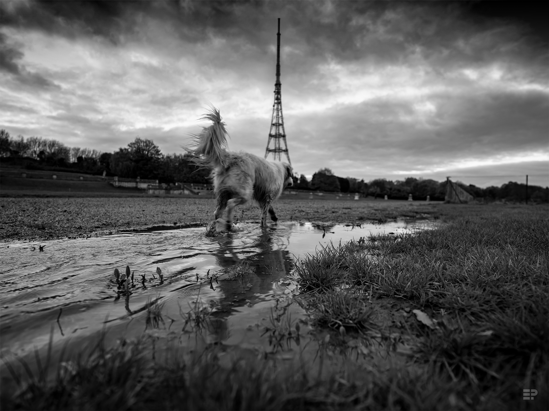 Crystal Palace - Transmitting Station