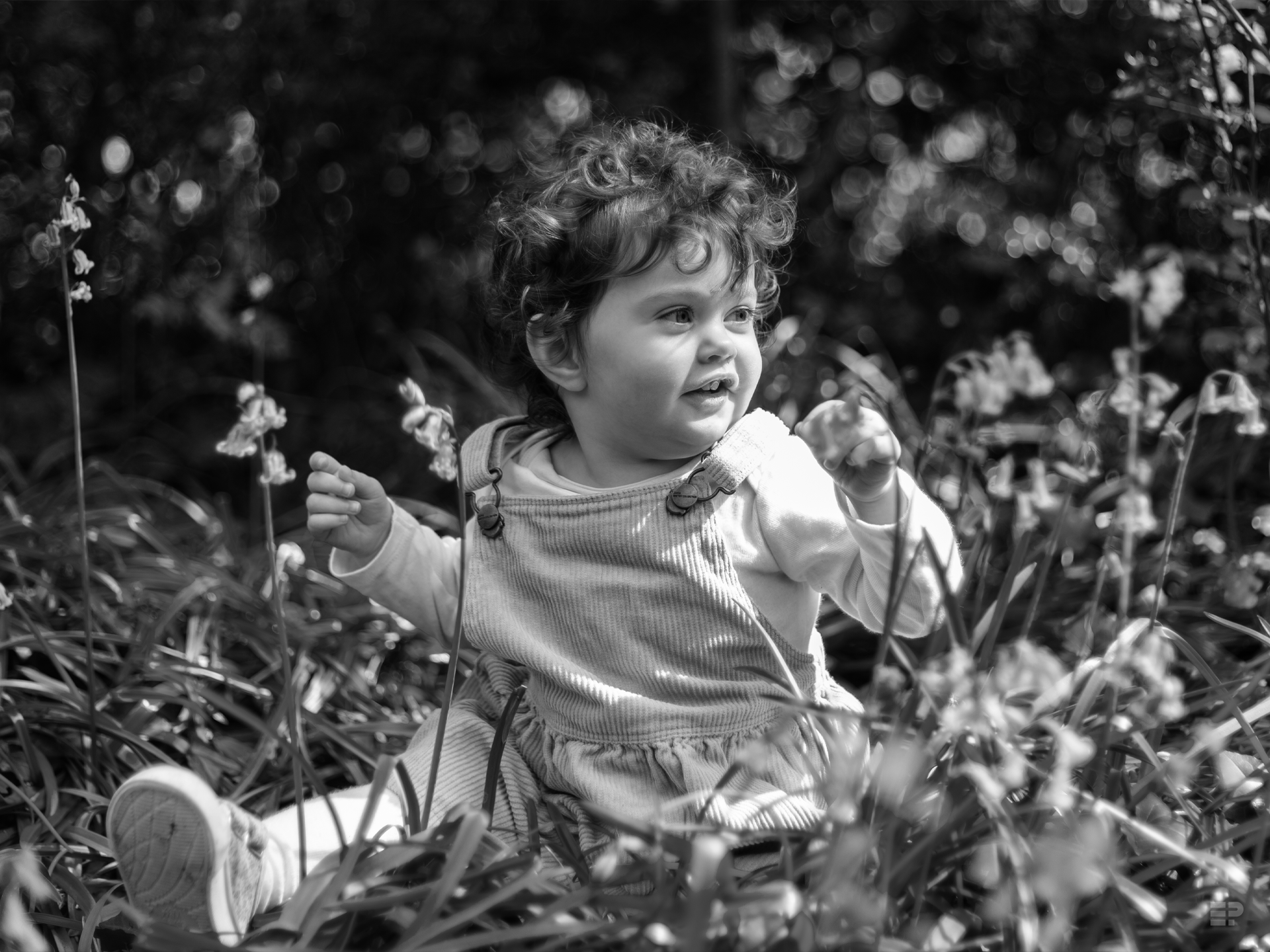 Beckenham Place Park - Bluebell Season 2024