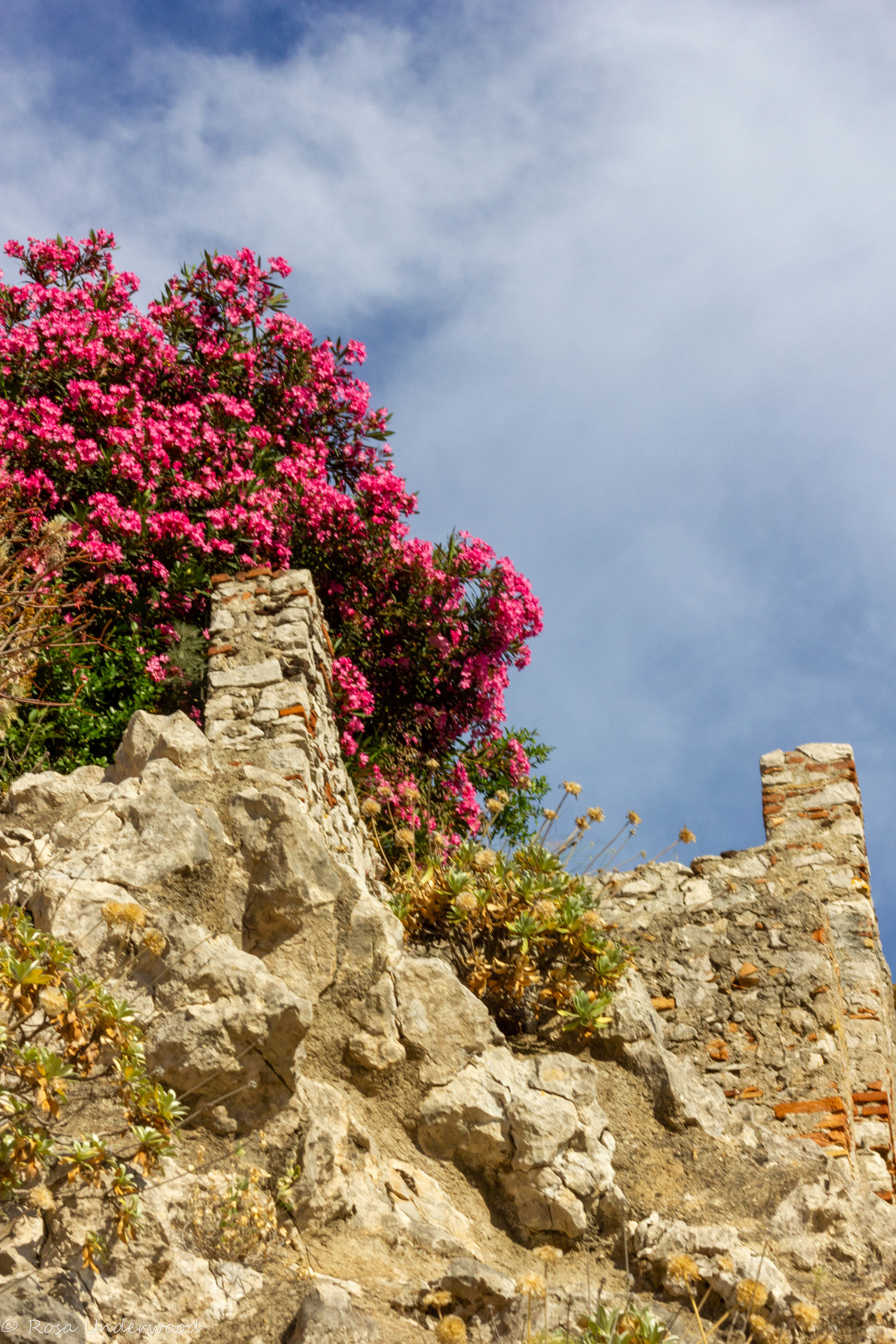 Sicily