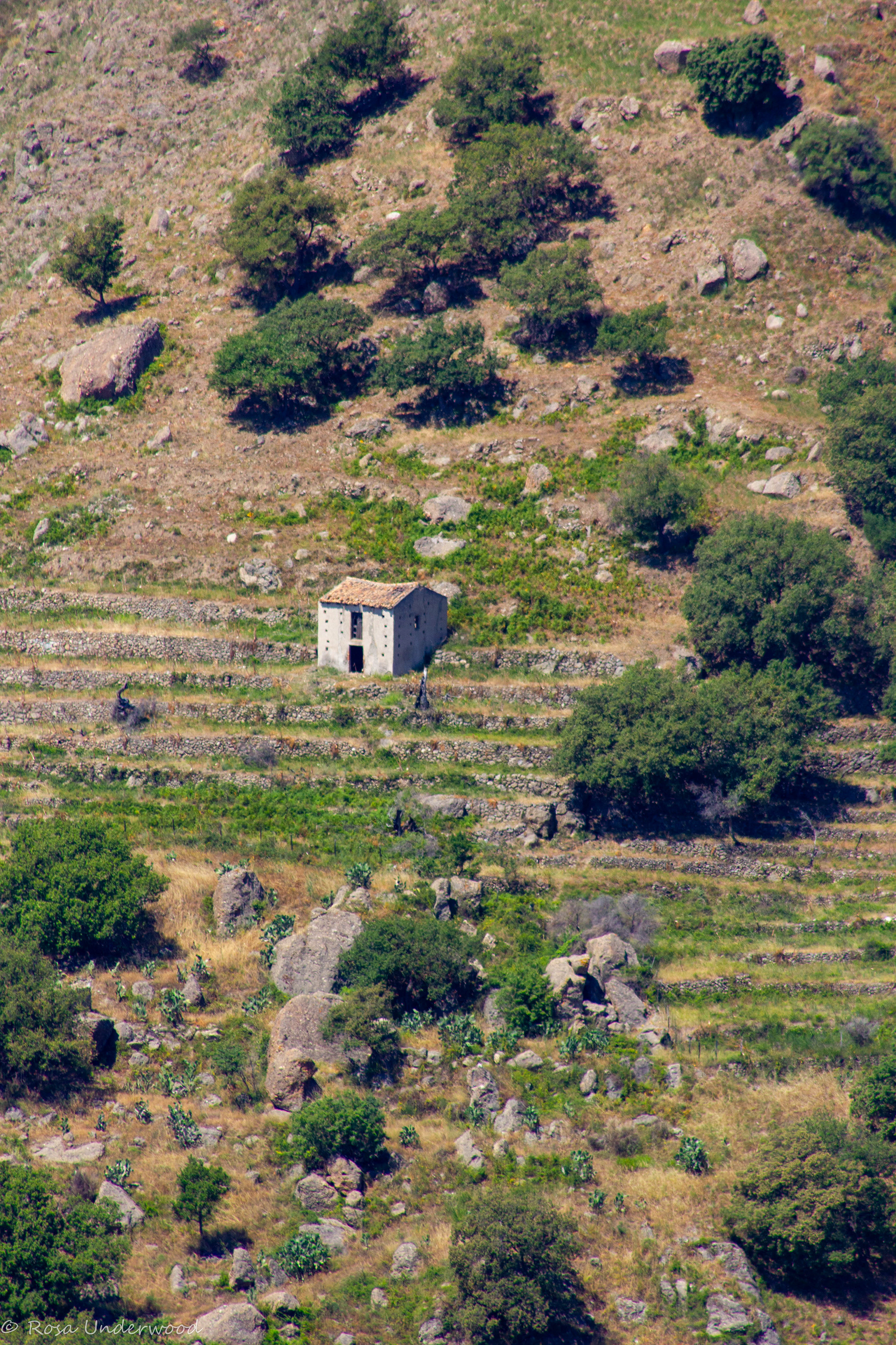 Sicily