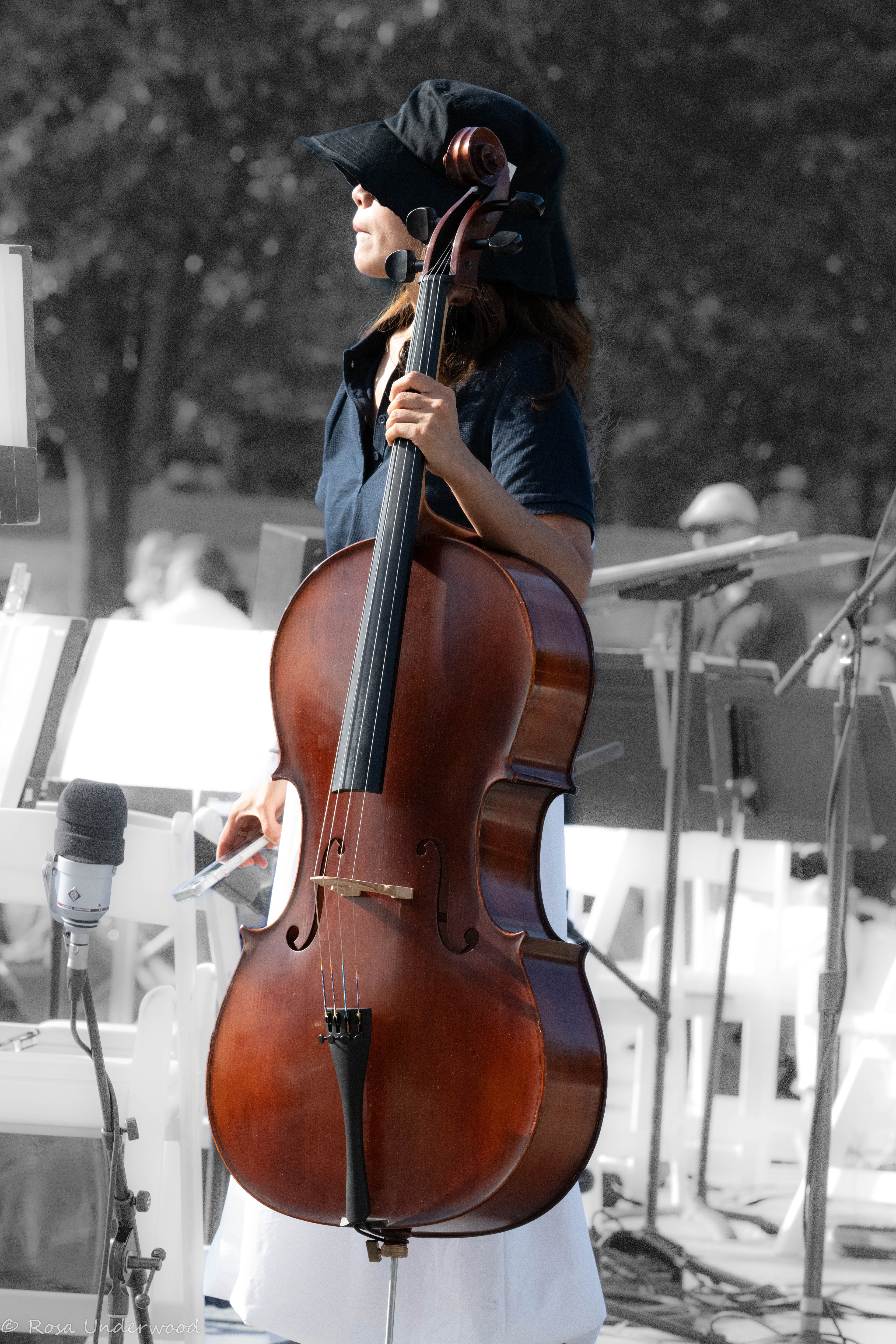 Cello