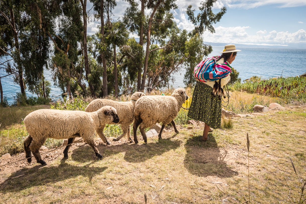 Moon Island - Lake Atiticaca