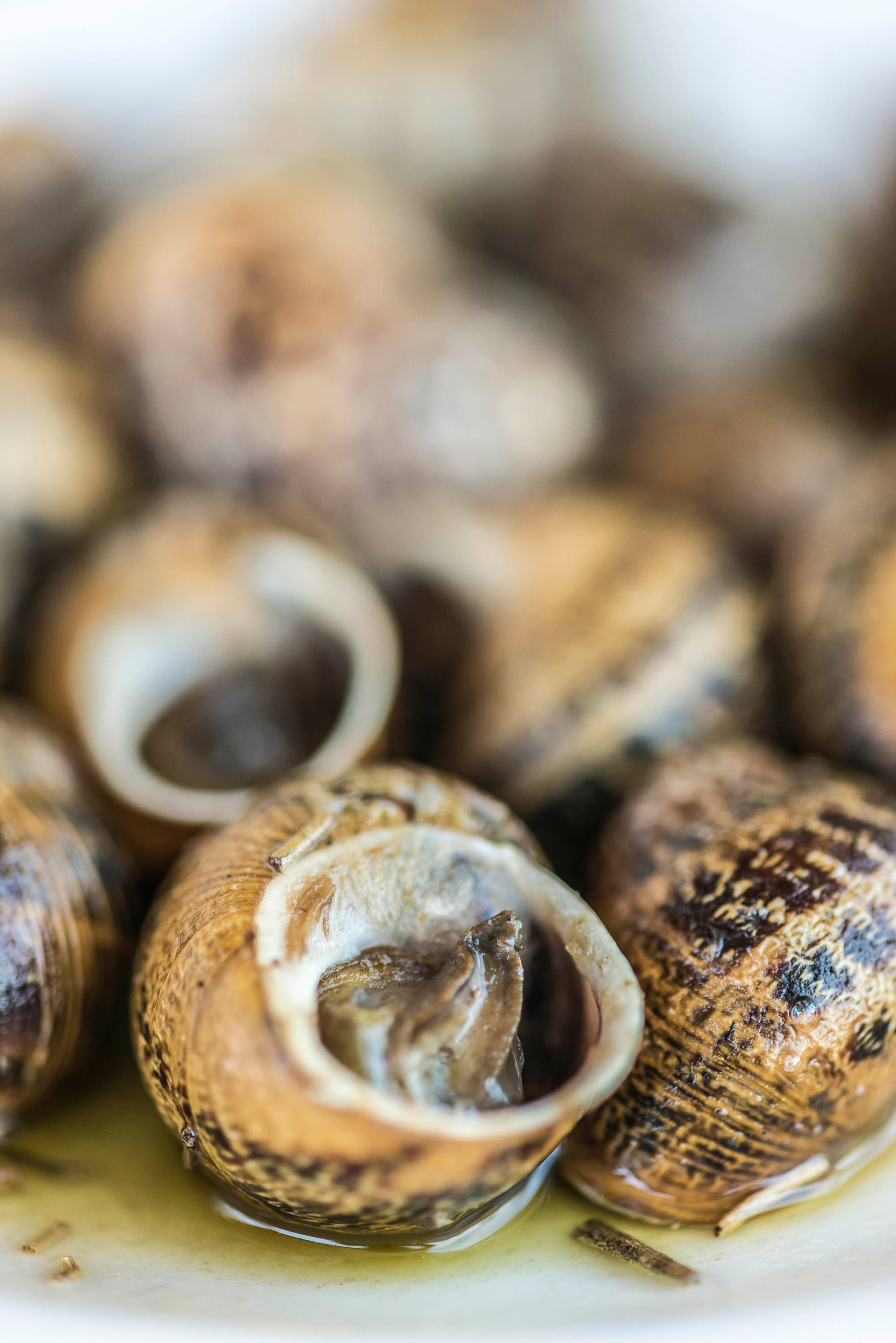 Local delicacy, Snails for lunch at Ippokampos Restaurant, Hiraklion, Crete
