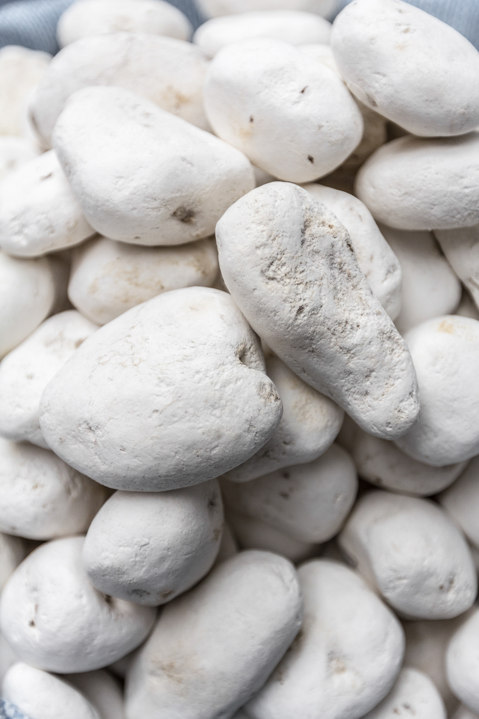 White Andean Potato (Chuño - obtained by freezing and sun drying), Mercado Rodriguez, La Paz