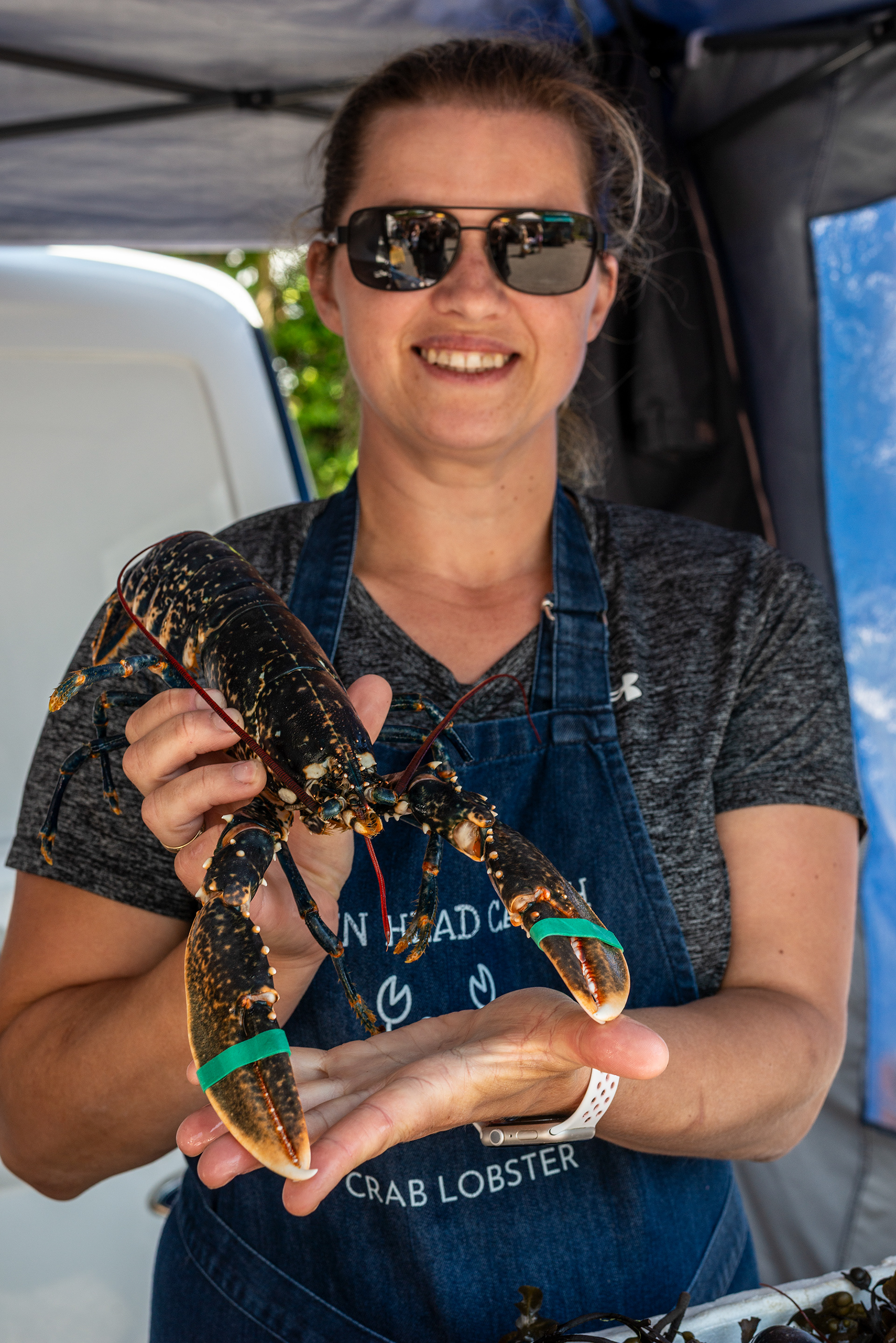 Fresh Lobster - Mizen Head Catch - Schull Producers Market