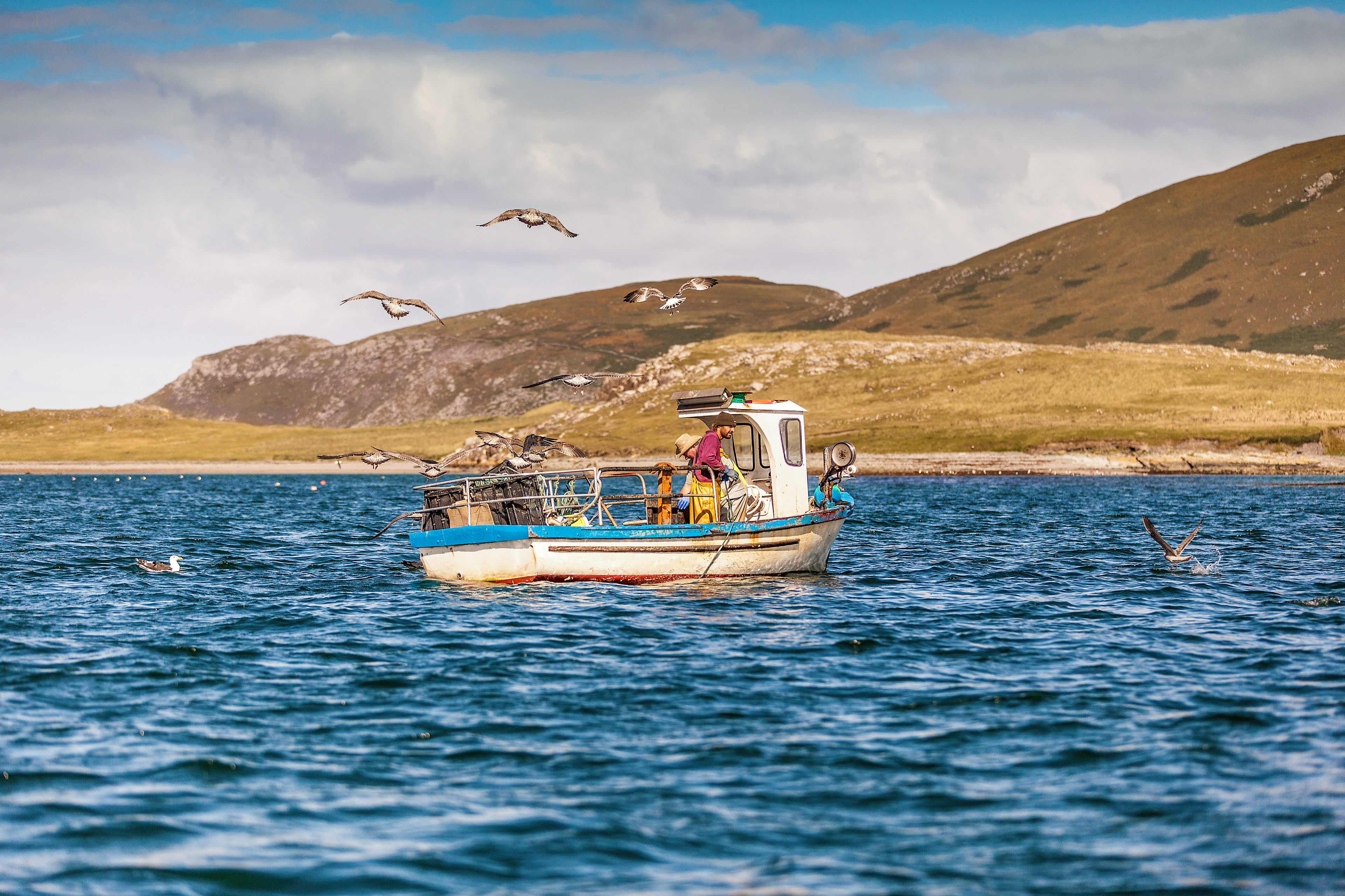 Boat Trip Around Valentia Island from Cahersiveen