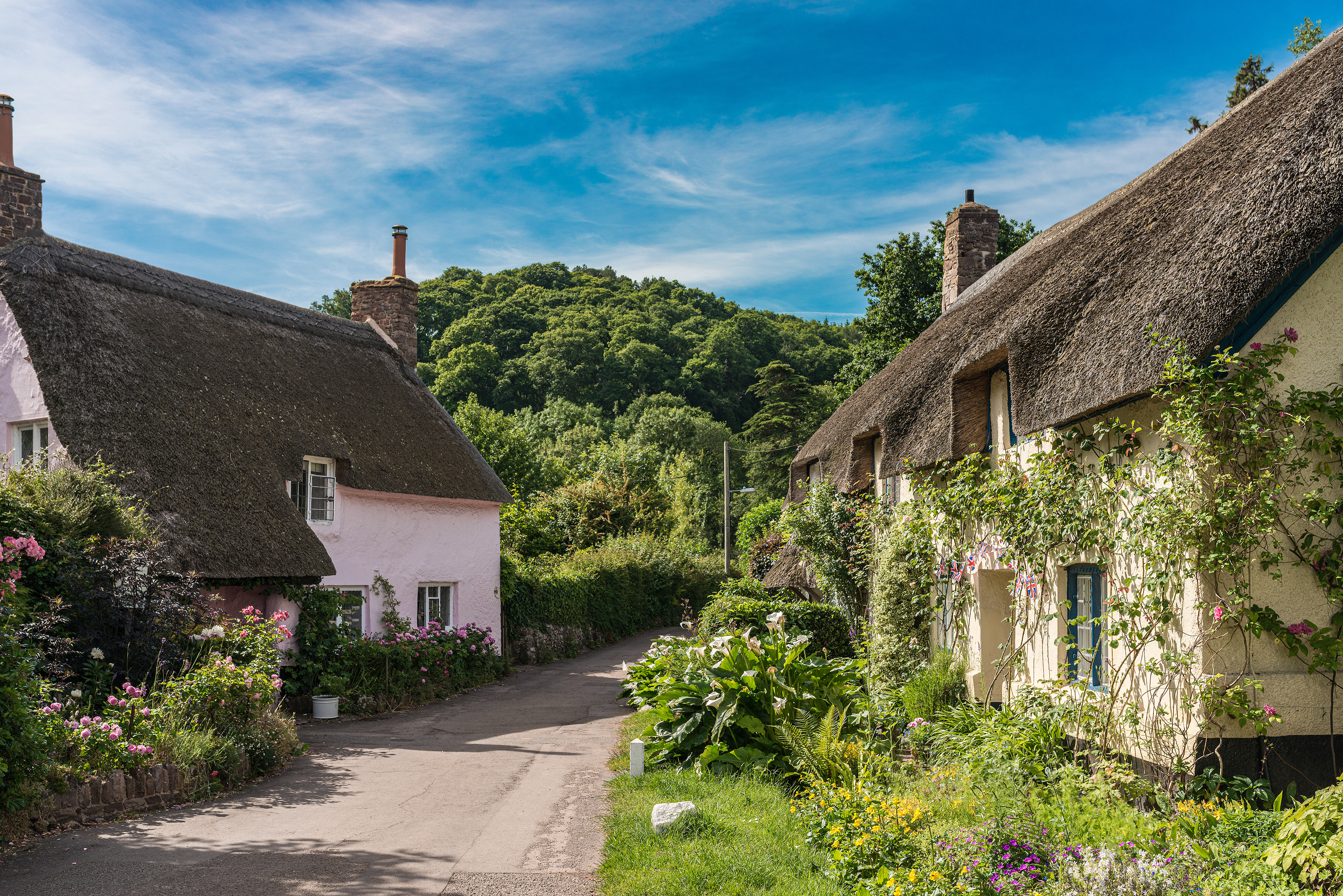 Thatched houses - Dunster village