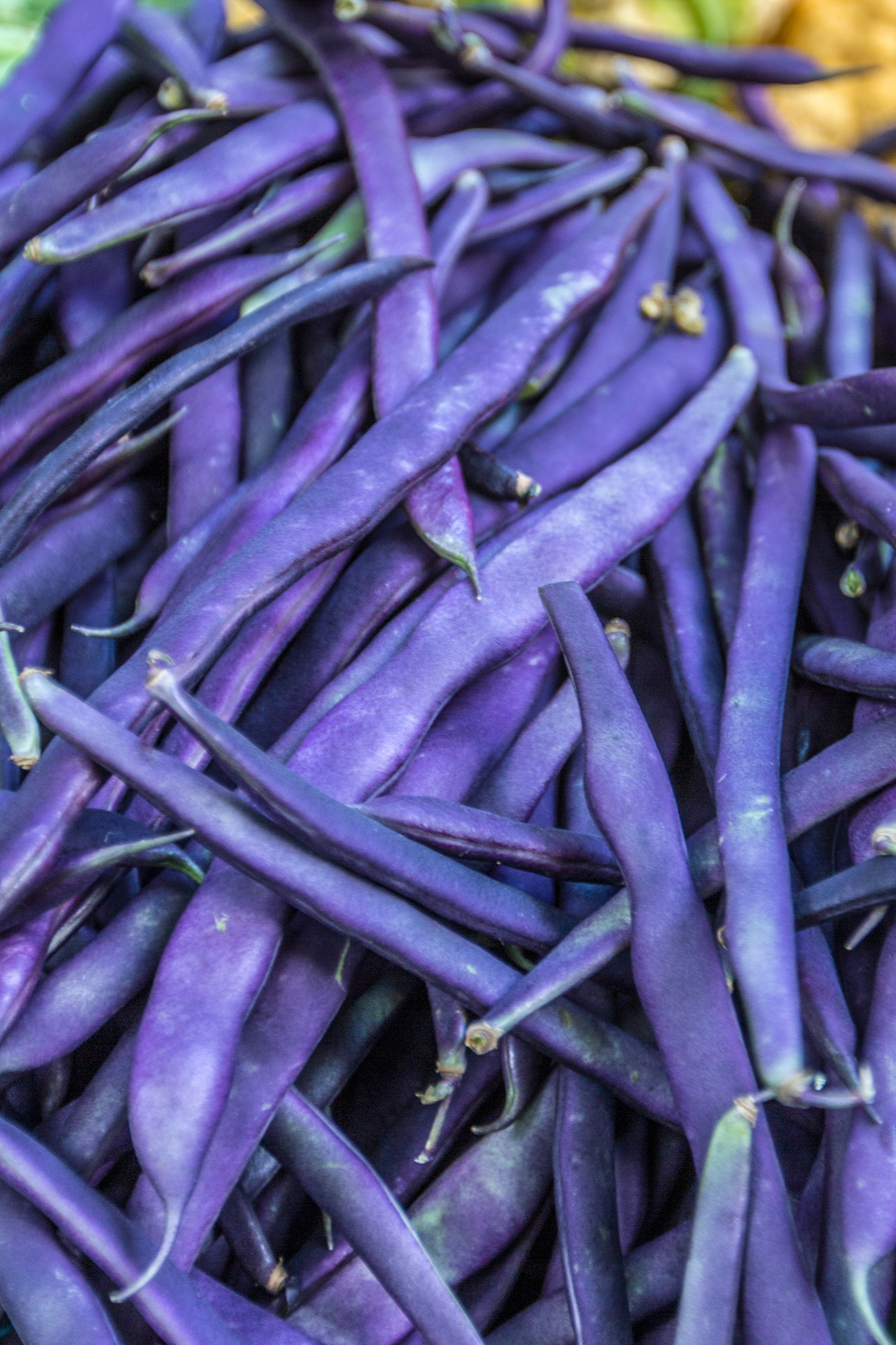 Portland Farmers Market