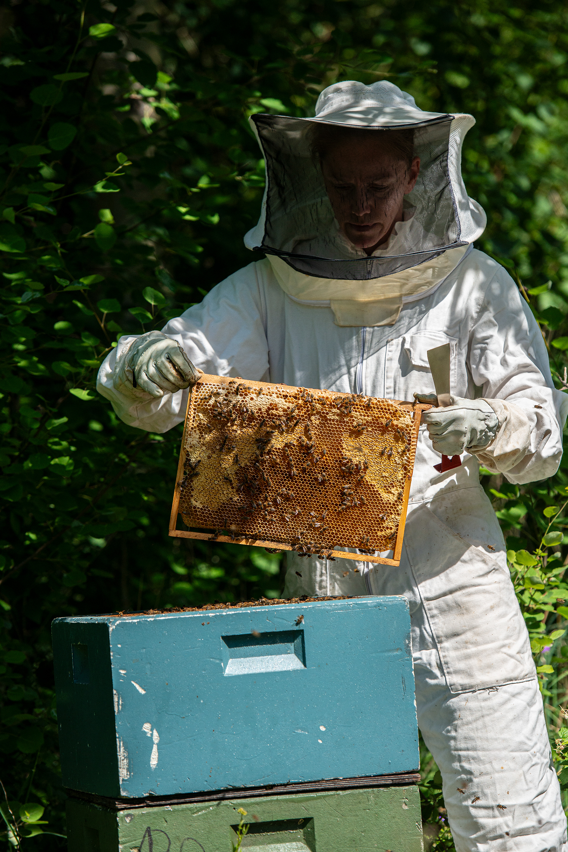 Tonje Kvam - Bee keeper at Inderøy Honney - Golden Road - Trøndelag