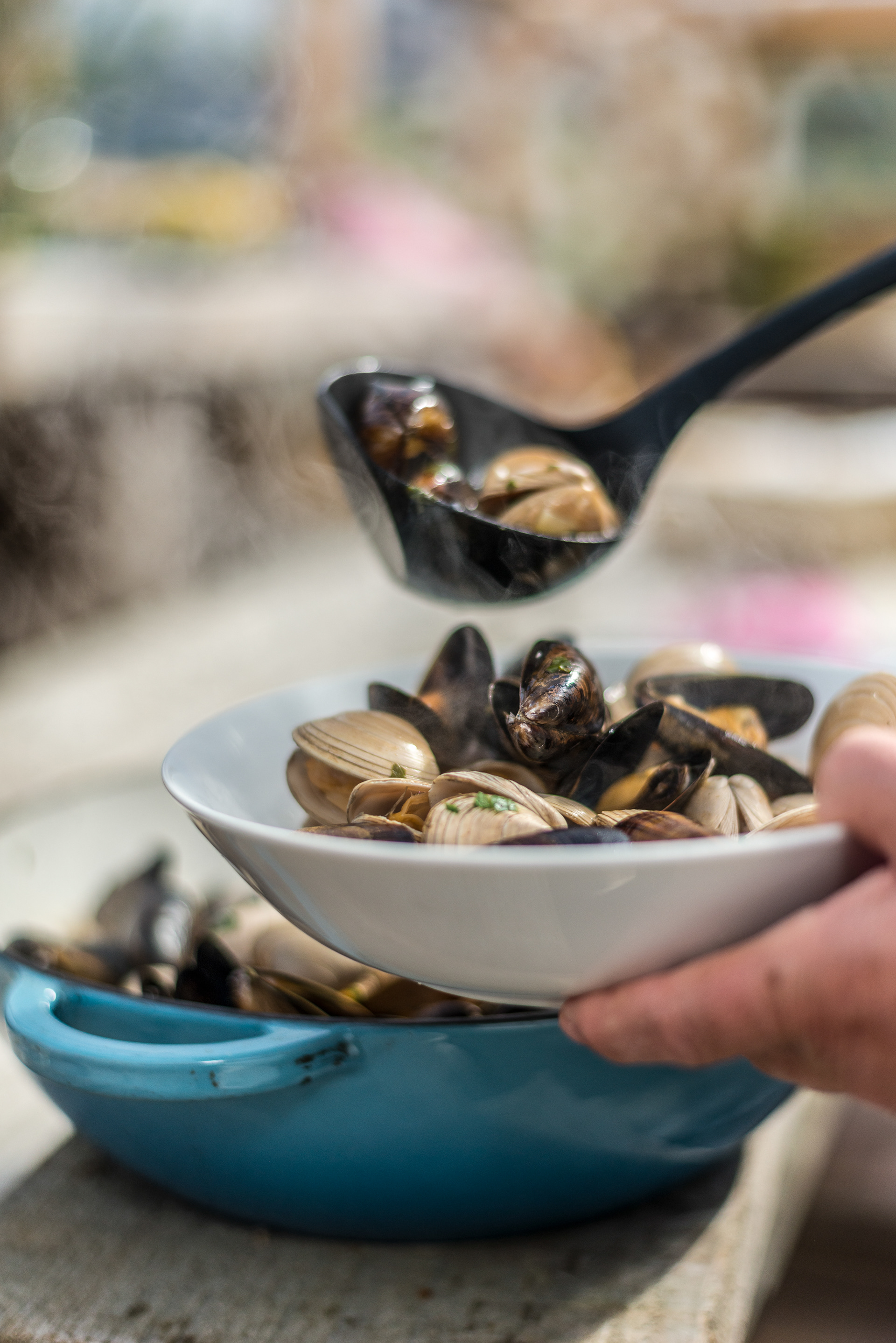 Lunch of fresh mussels & clams - Killary Fjord Shellfish - Connemara