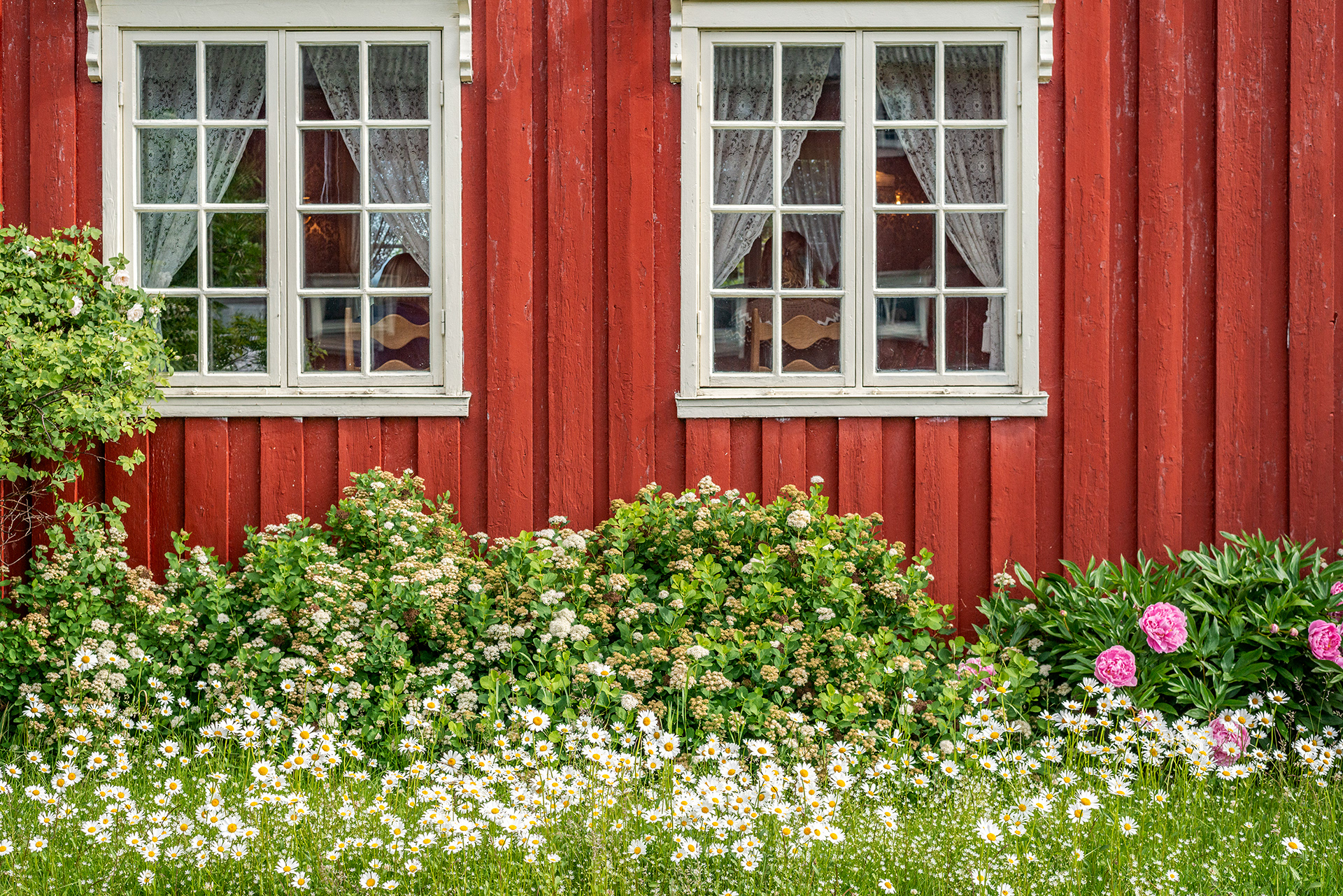 Traditional house clours at Cultural Farm Bjerkem - Trøndelag
