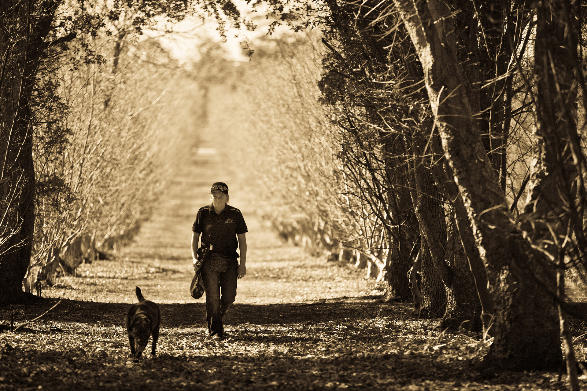 Truffle Hunting, The Wine & Truffle Co, Pemberton