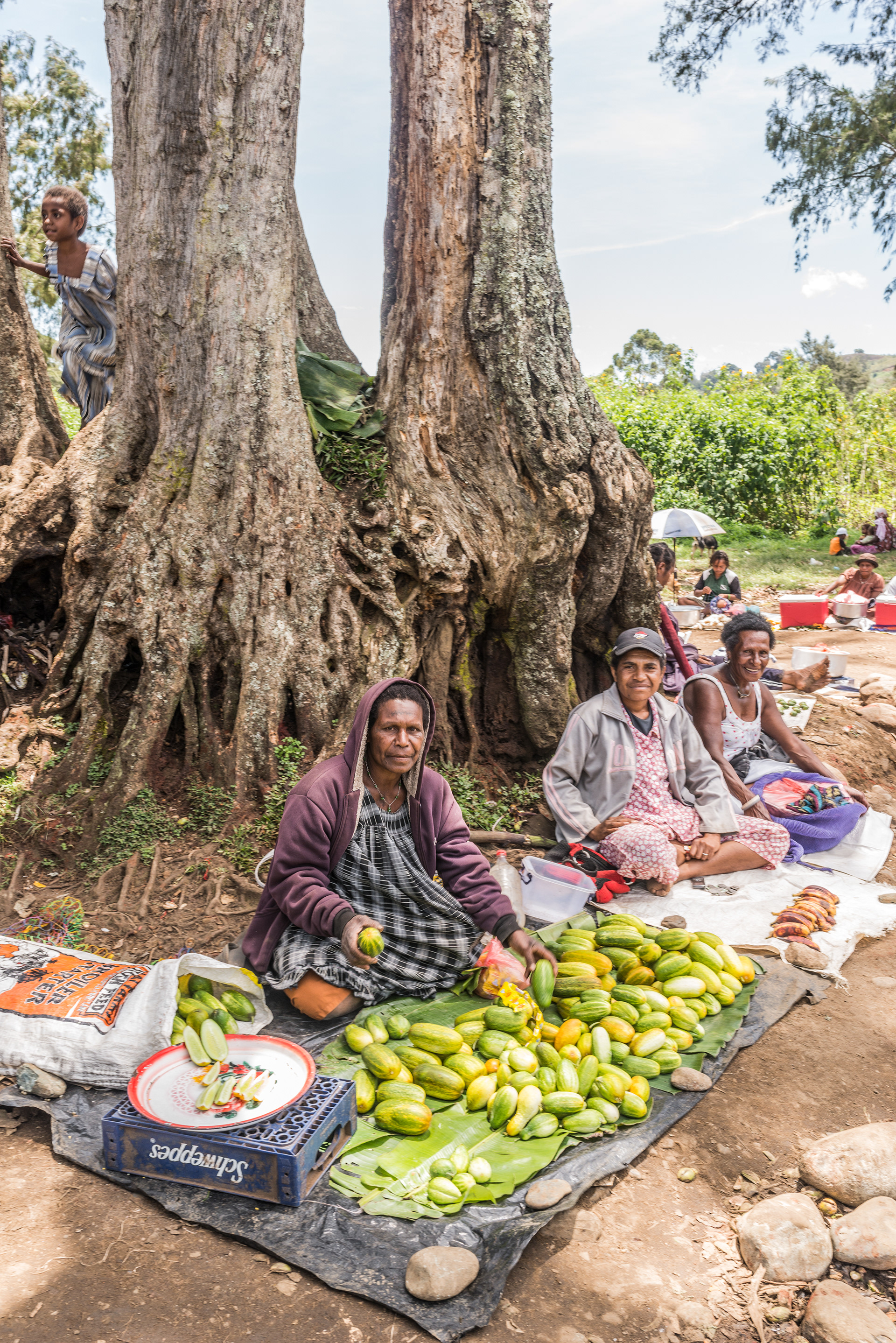Roadside Snack Sellers, Mt Hagen Suburbs