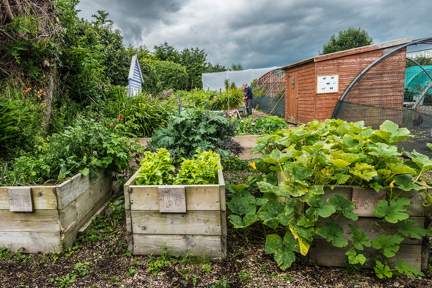 Ark Community Garden - Dundrum