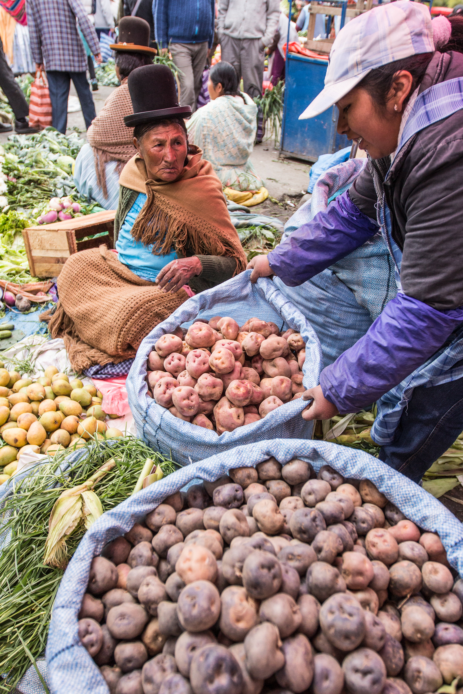 Potato Sellers, Mercado Rodriguez, La Paz