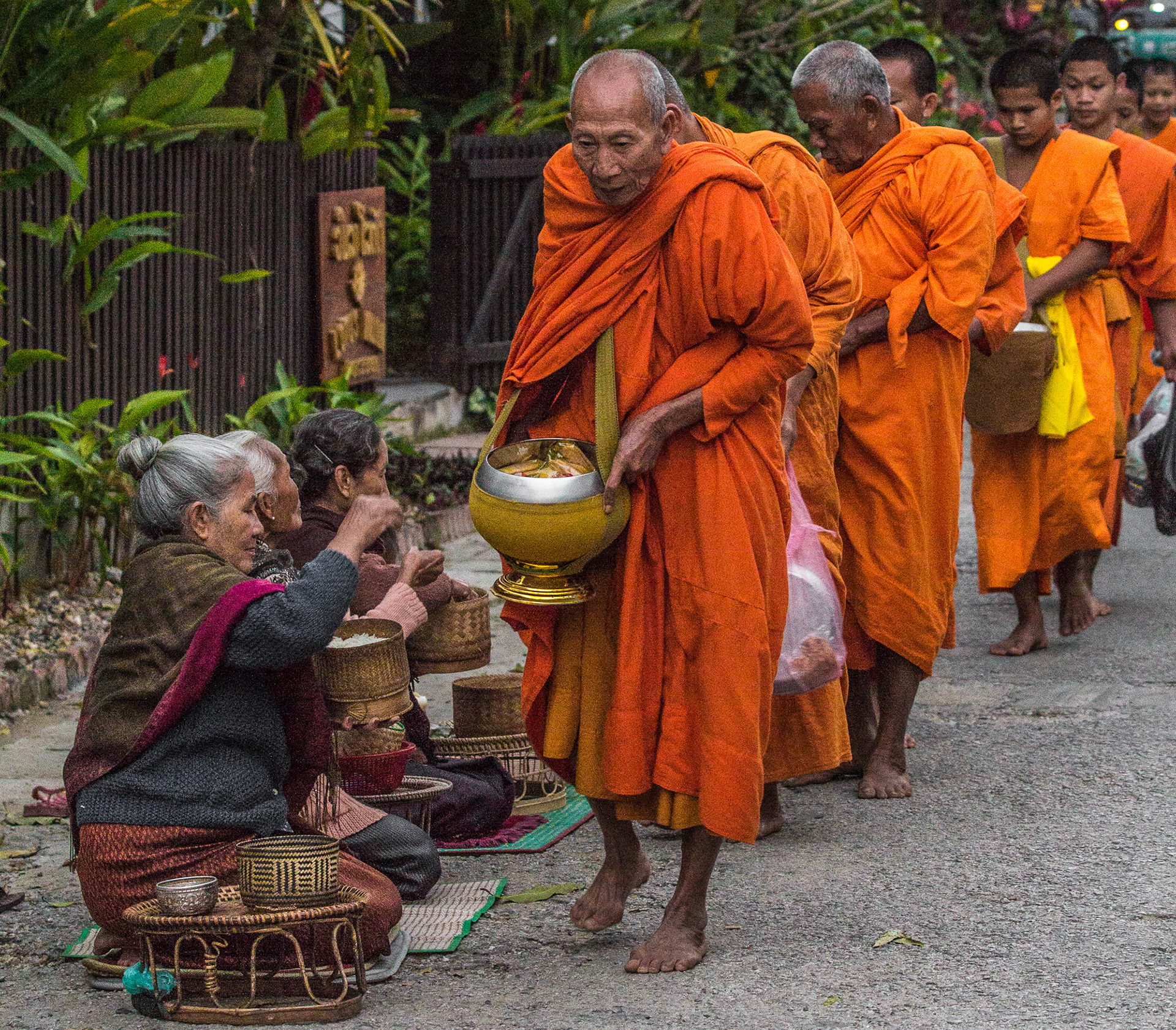 Dawn Alms Collection - LuangPrabang