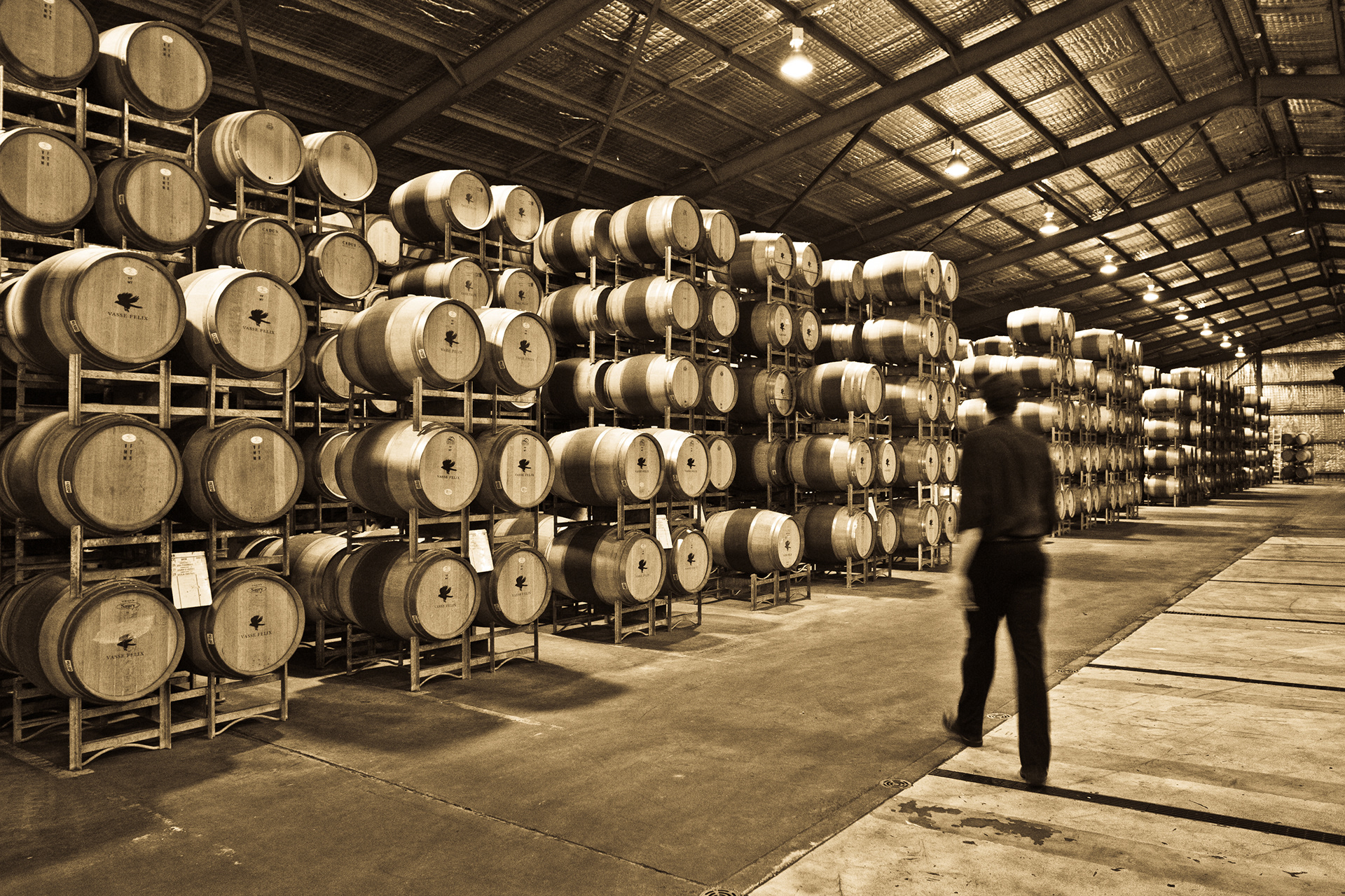 Wine Cellar, Vasse Felix Winery, Margaret River