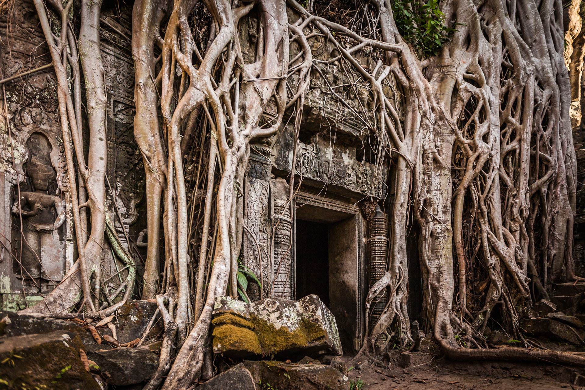 The famous 'Tomb Raider Gate', Ta Prohm Temple, Angkor Wat Complex, Cambodia.