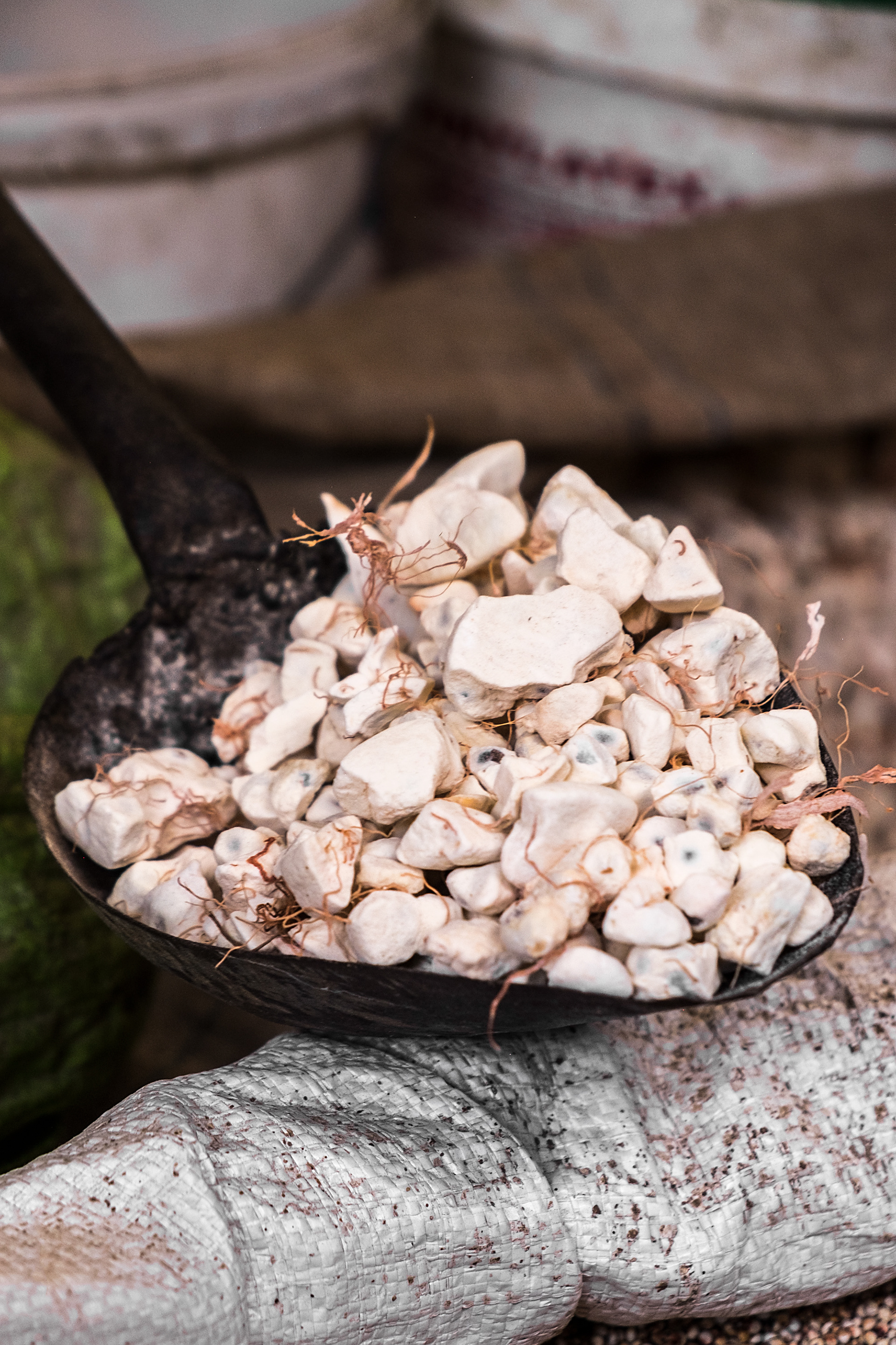 Tilene Market - Dried Baobab Fruit