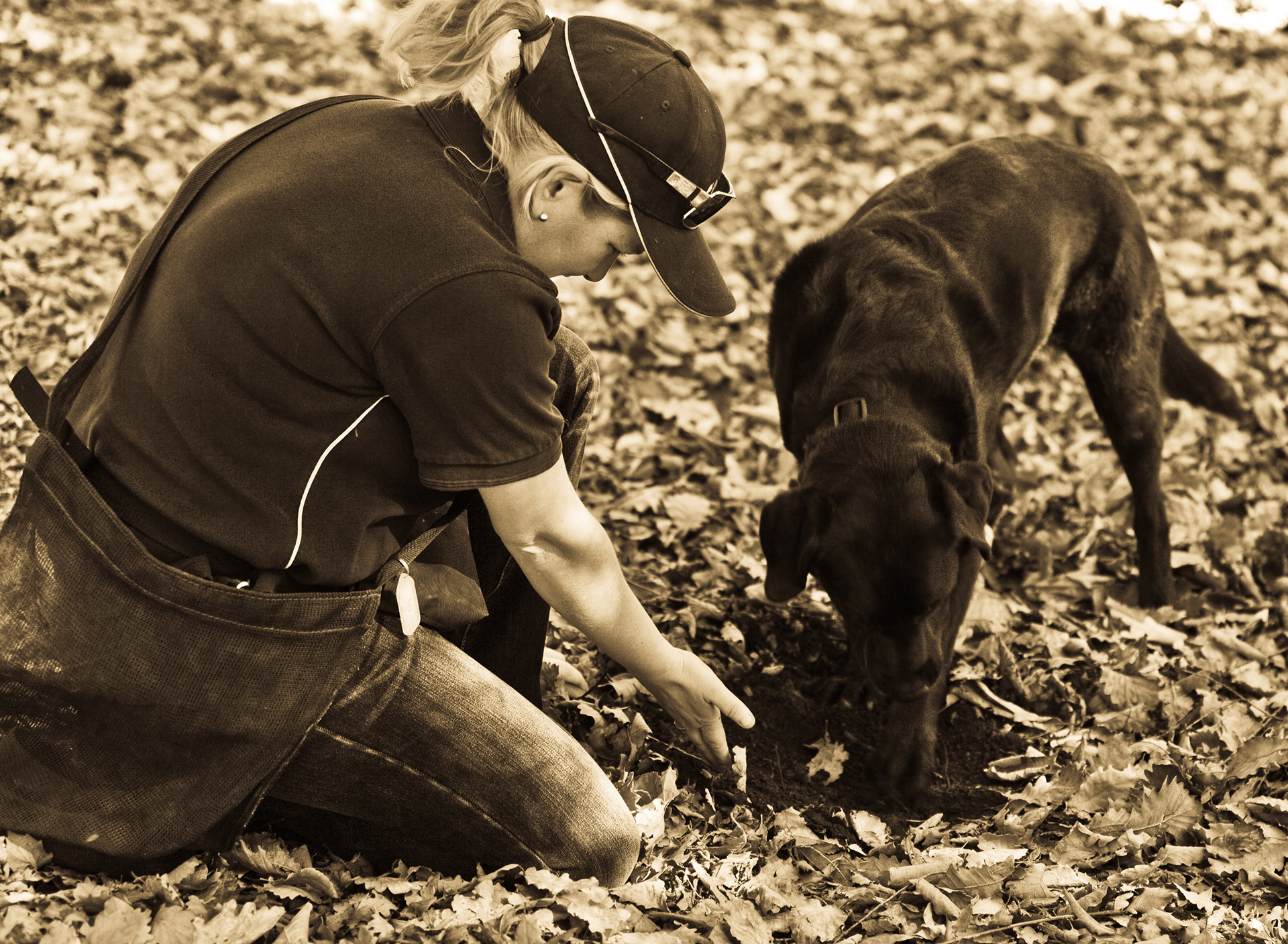 Truffle Hunting, The Wine & Truffle Co, Pemberton