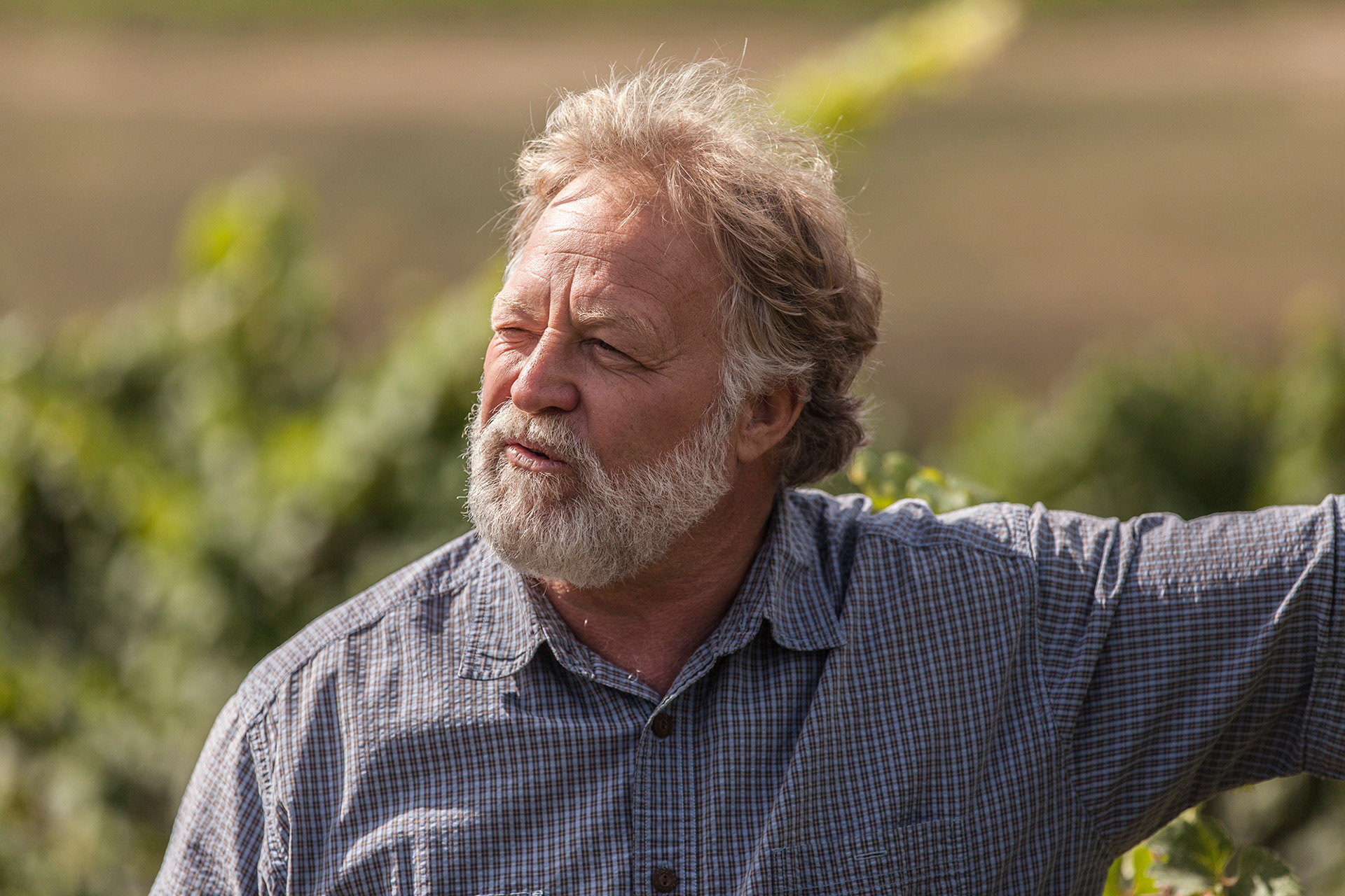 Rudy Marchesi, wine maker at Montinore Winery, Oregon