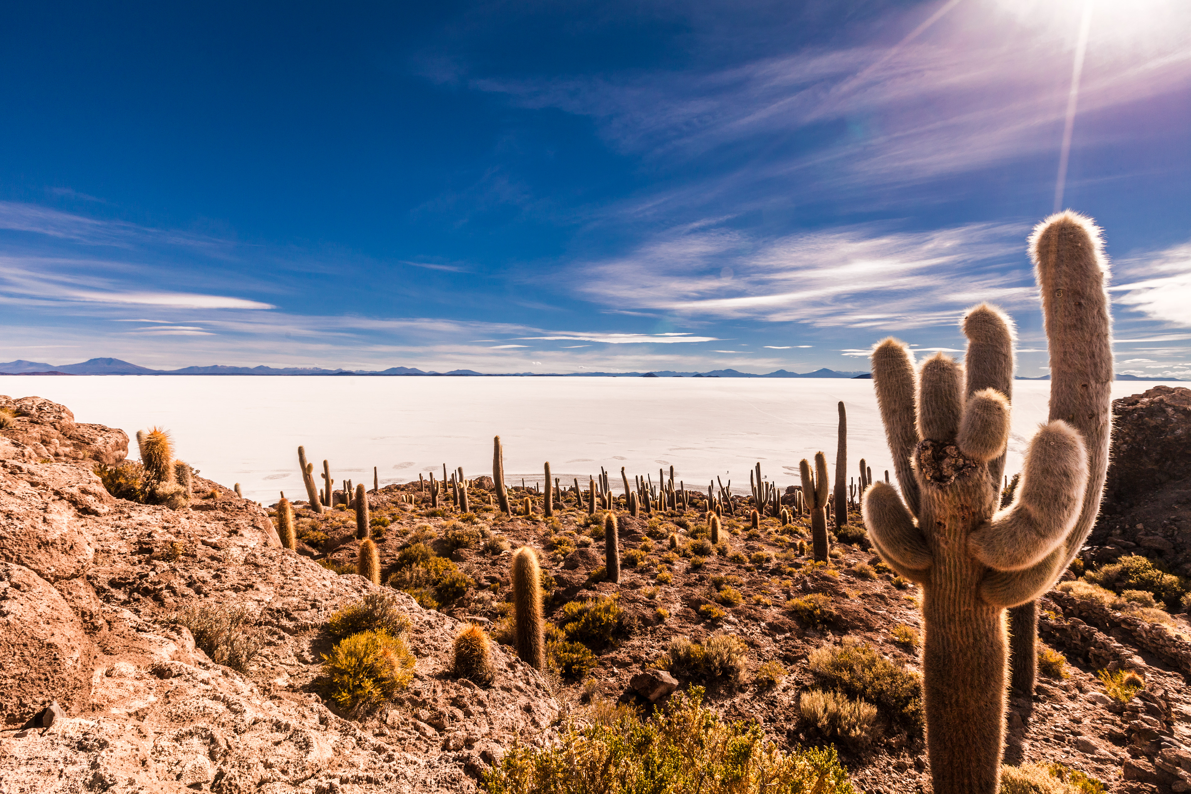 Isla Incahuasi (Cactus Island), Uyuni Salt Lake