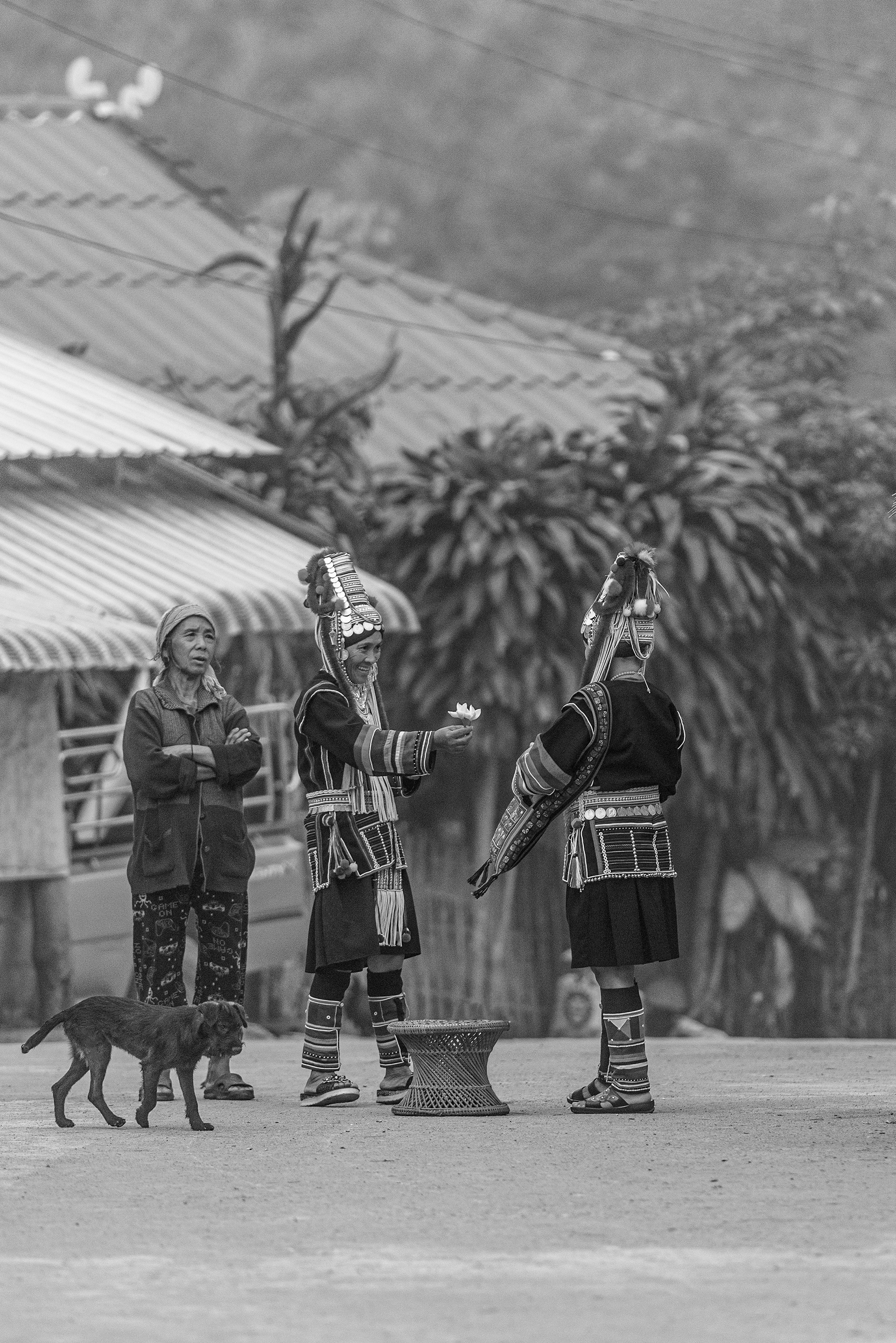 Village life... The headdress is the most important and elaborate part of the Akha costume. It varies from village to village and its ornamentation depends on marital and economic status, age and how recently the woman has had a baby