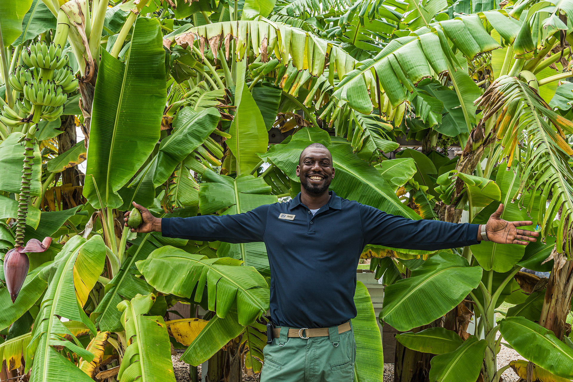 Head Gardener Rohan - Hydroponic Garden - Aurora Anguilla Resort