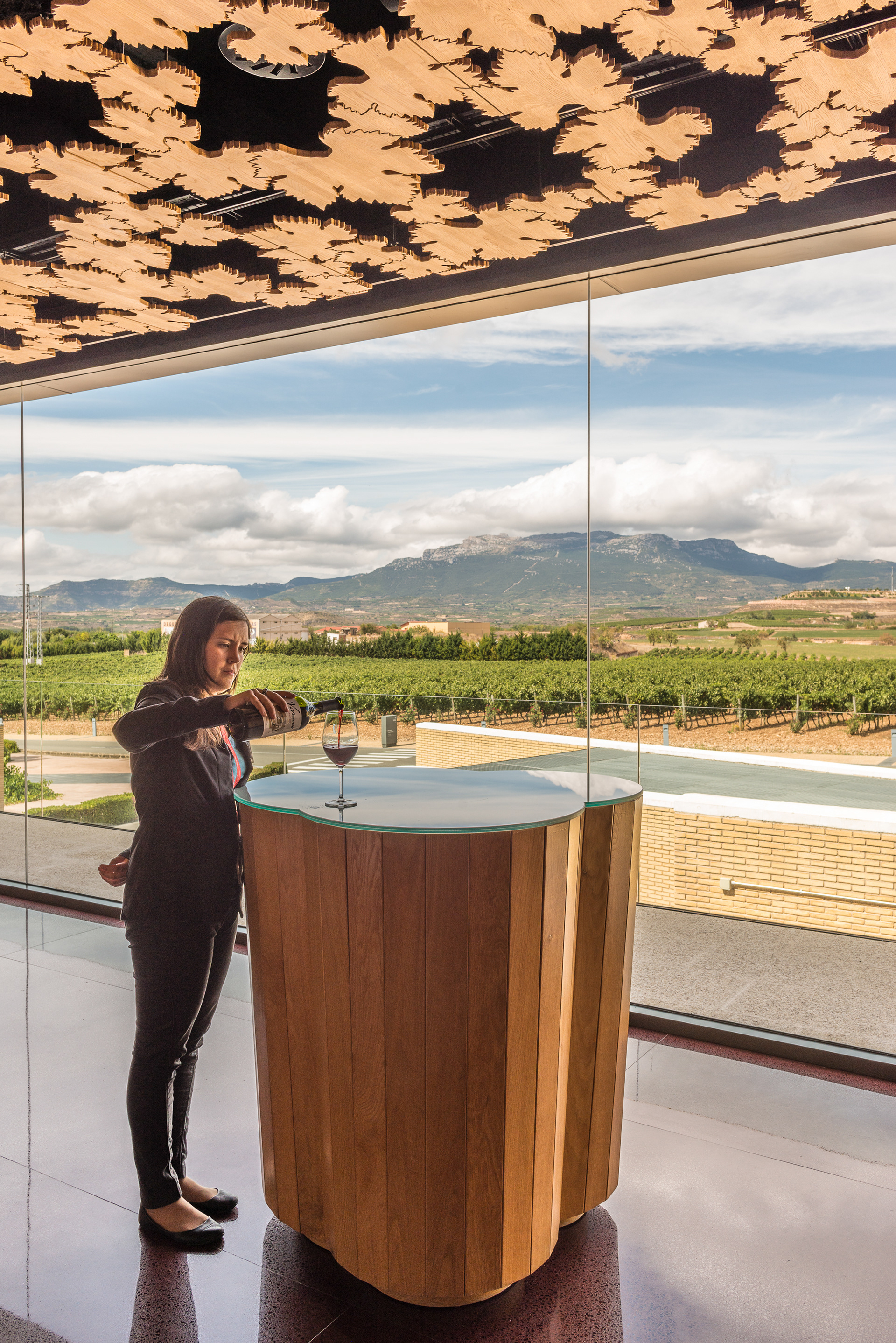 Wine tasting - Museum de la Cultura del Vino - Bodegas Dinastía Vivanco - Briones