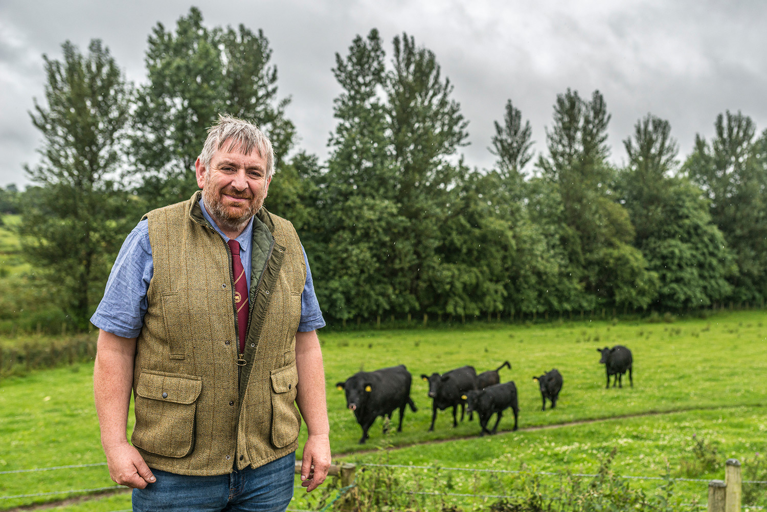 Damien Tumelty with prize winning Dexter Cattle - Castlescreen Farm - Downpatrick
