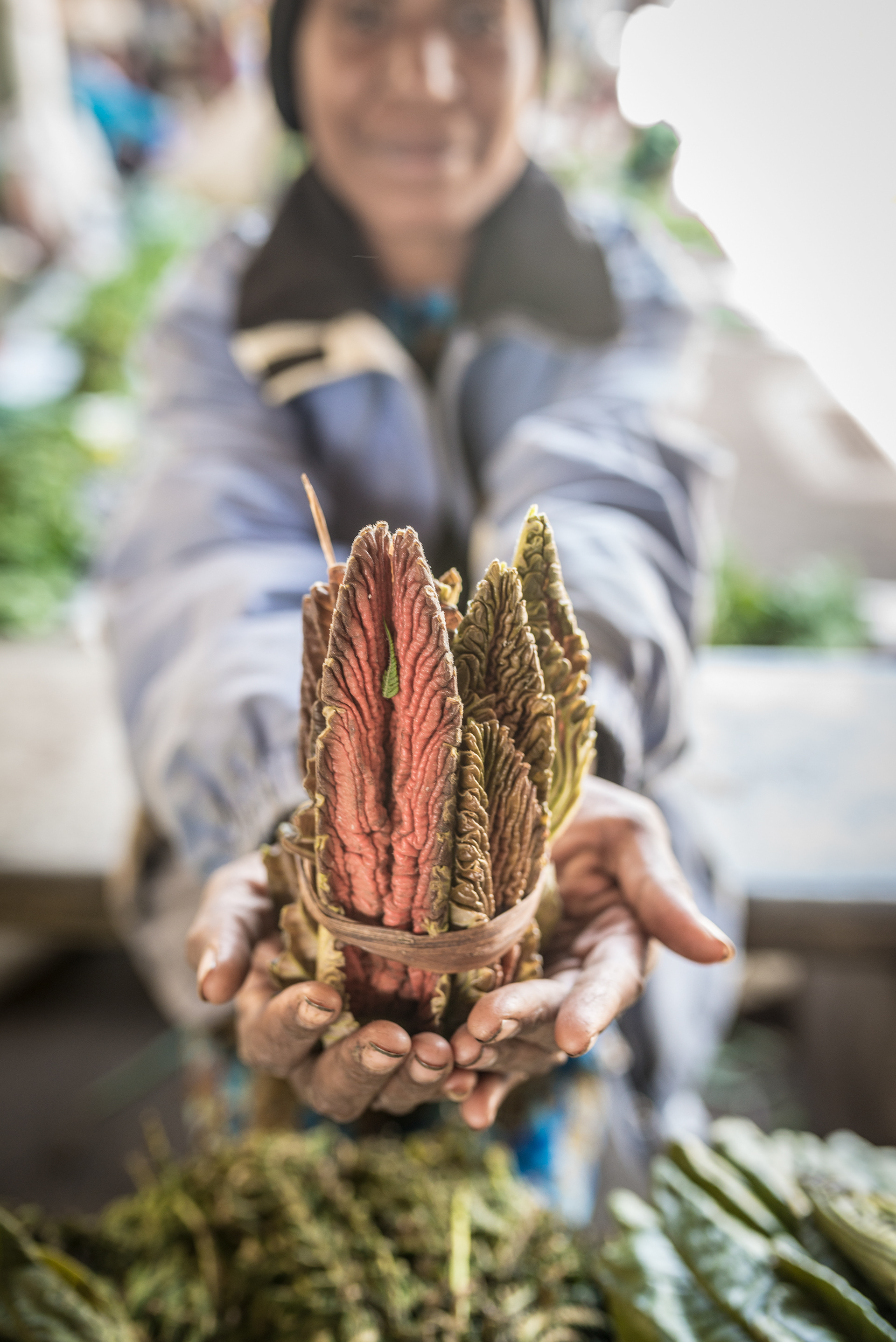 Tender young breadfruit shoots (used in cooking), Mt Hagen Market