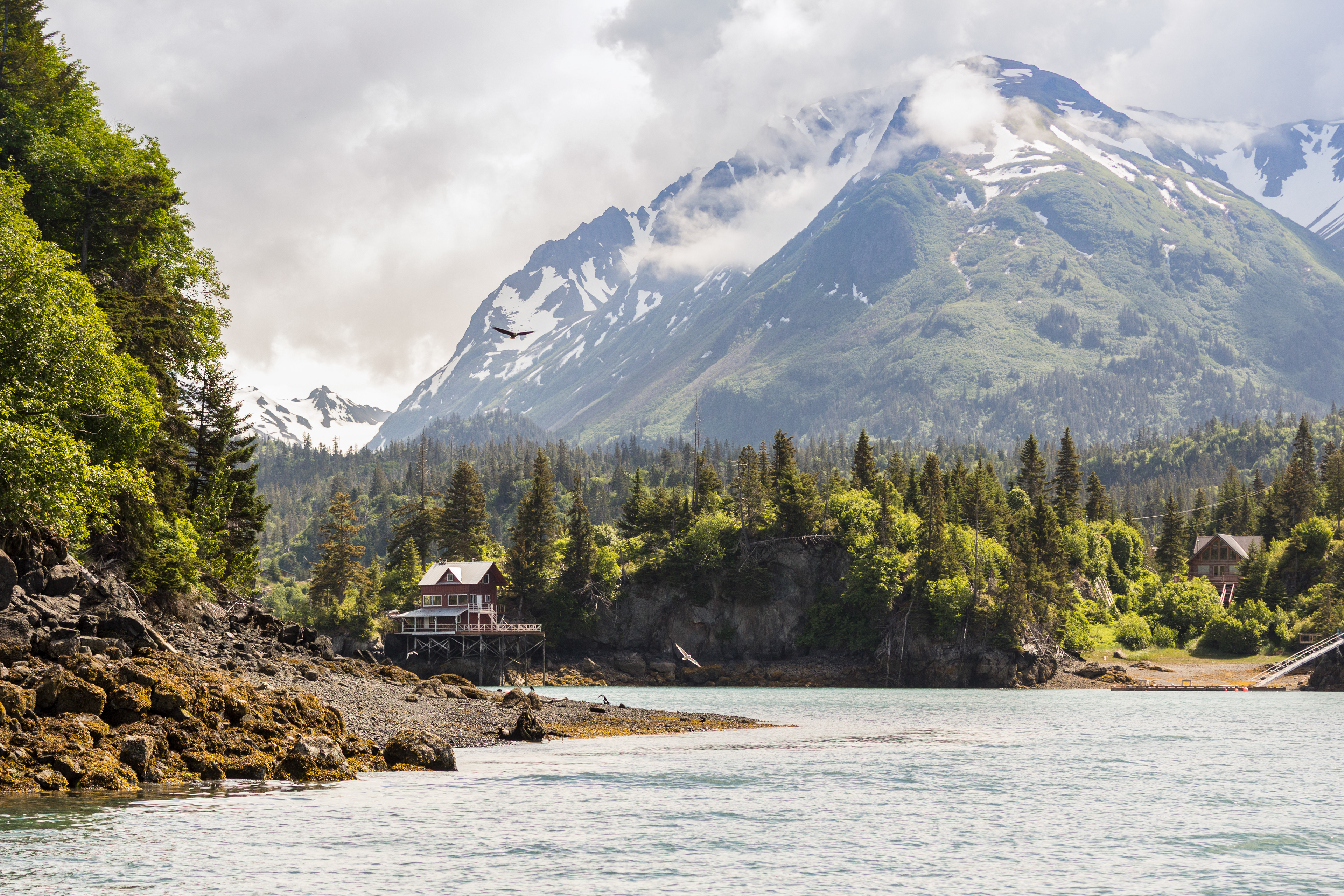 Halibut Cove