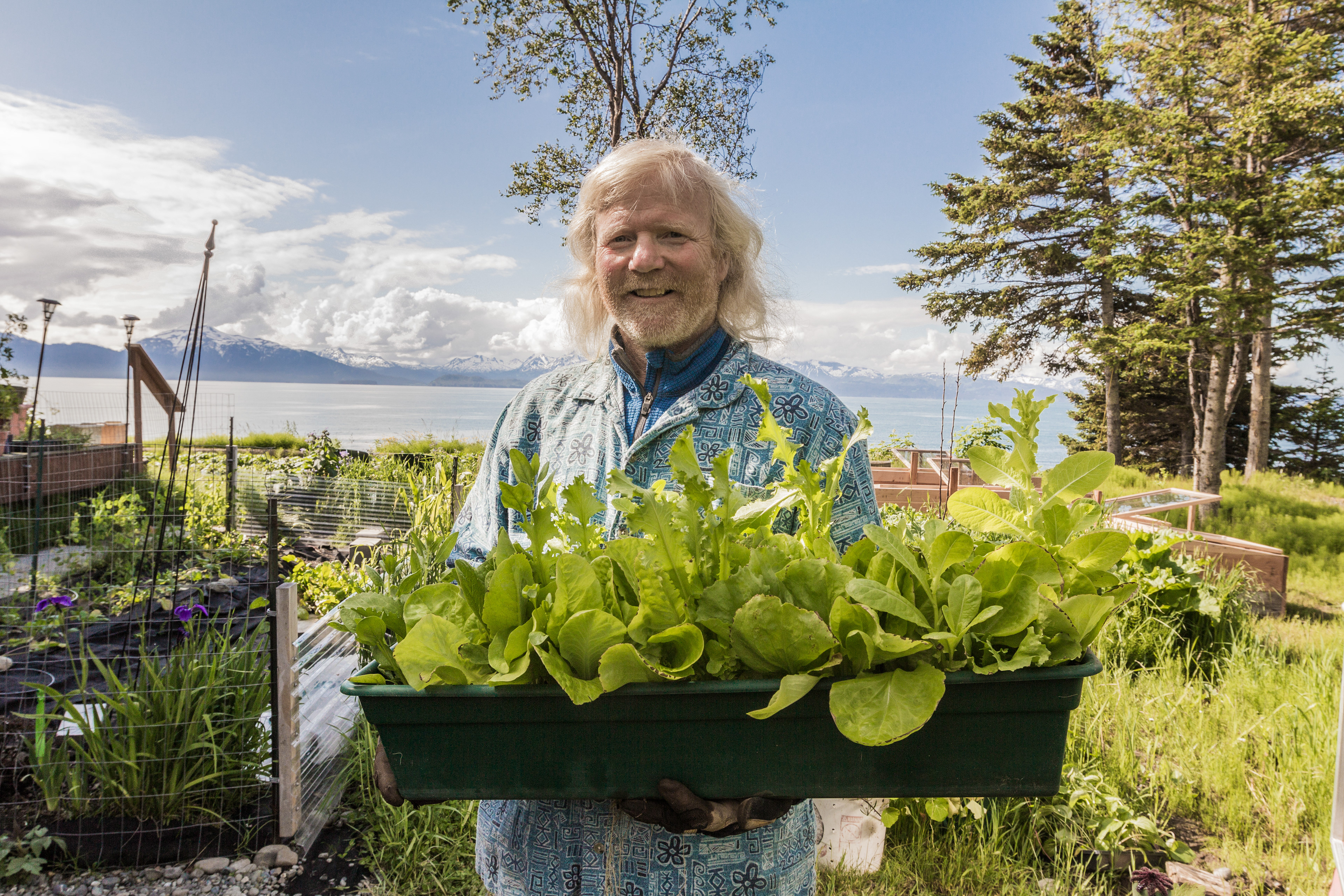 Don McNamara, Ice Surfer and grower at Homer Tunnel Growers