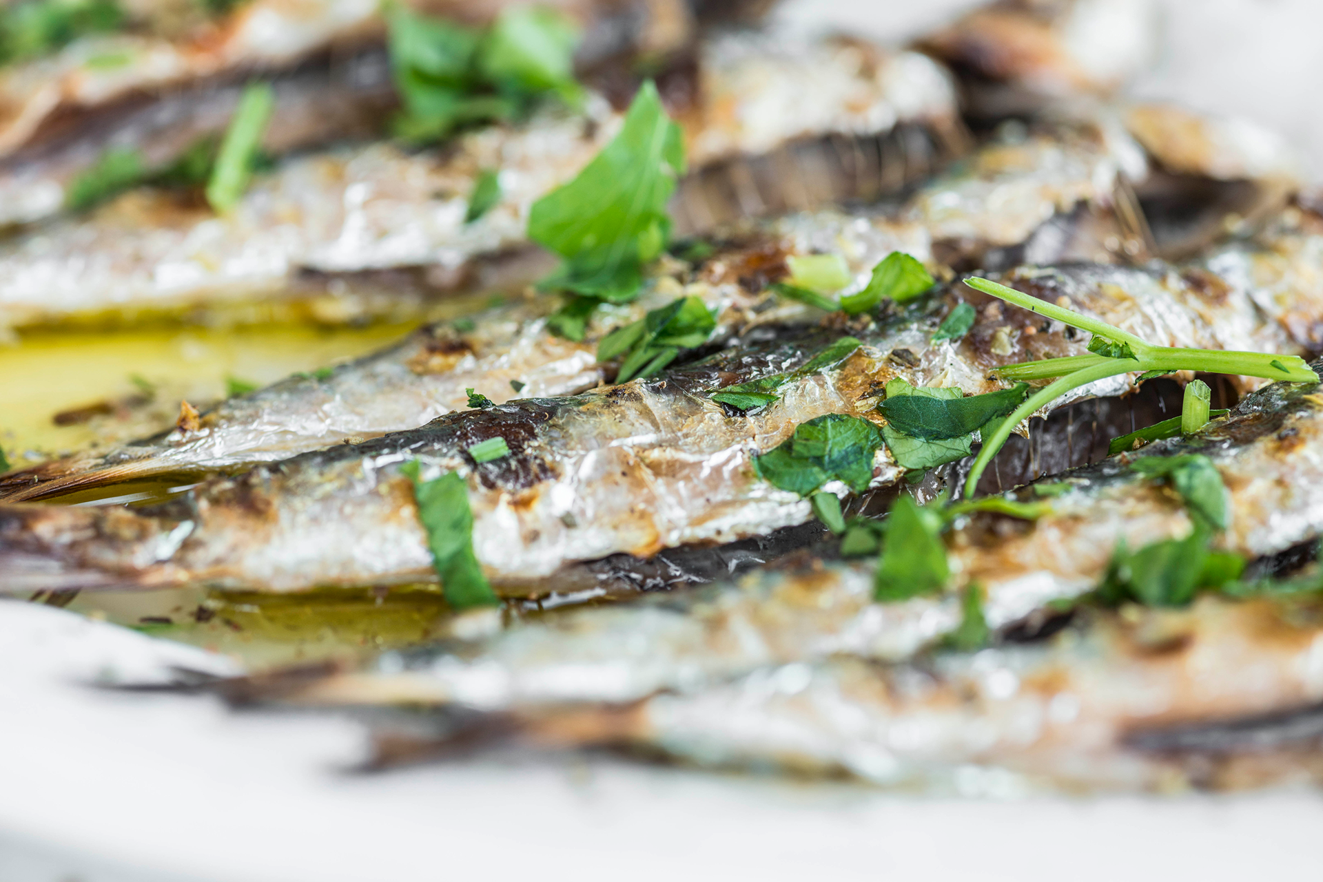 Grilled Sardines at Ippokampos seafront Restaurant in Hiraklion, Crete