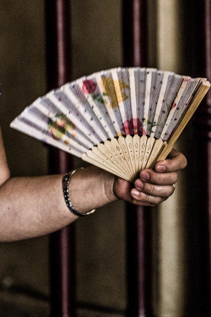 Parishioner - Saigon Cathedral