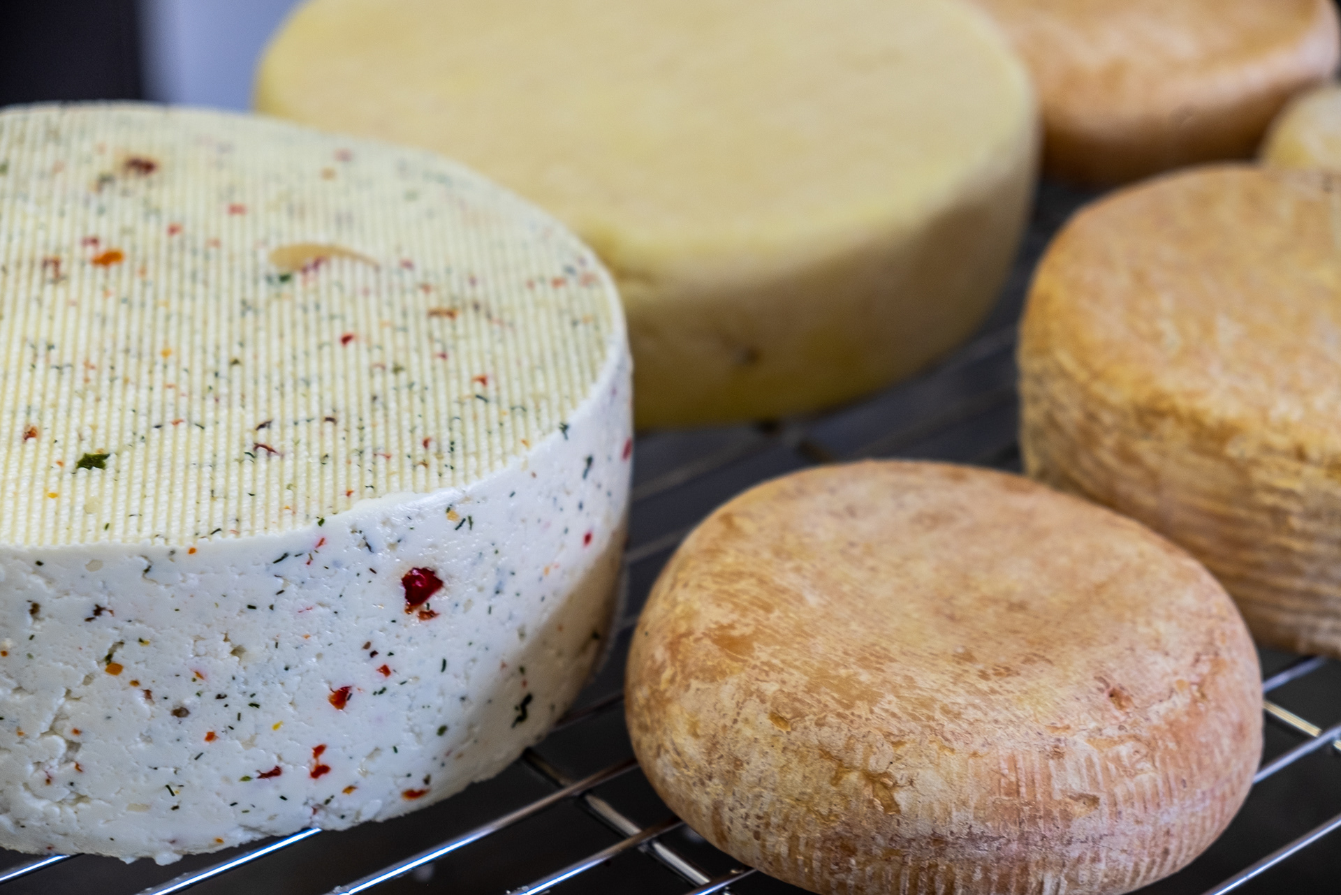 An Dottesch ewe's milk cheese - Conter Ruppert Farm & Cheese Producer - Red Rock region (South Luxembourg)