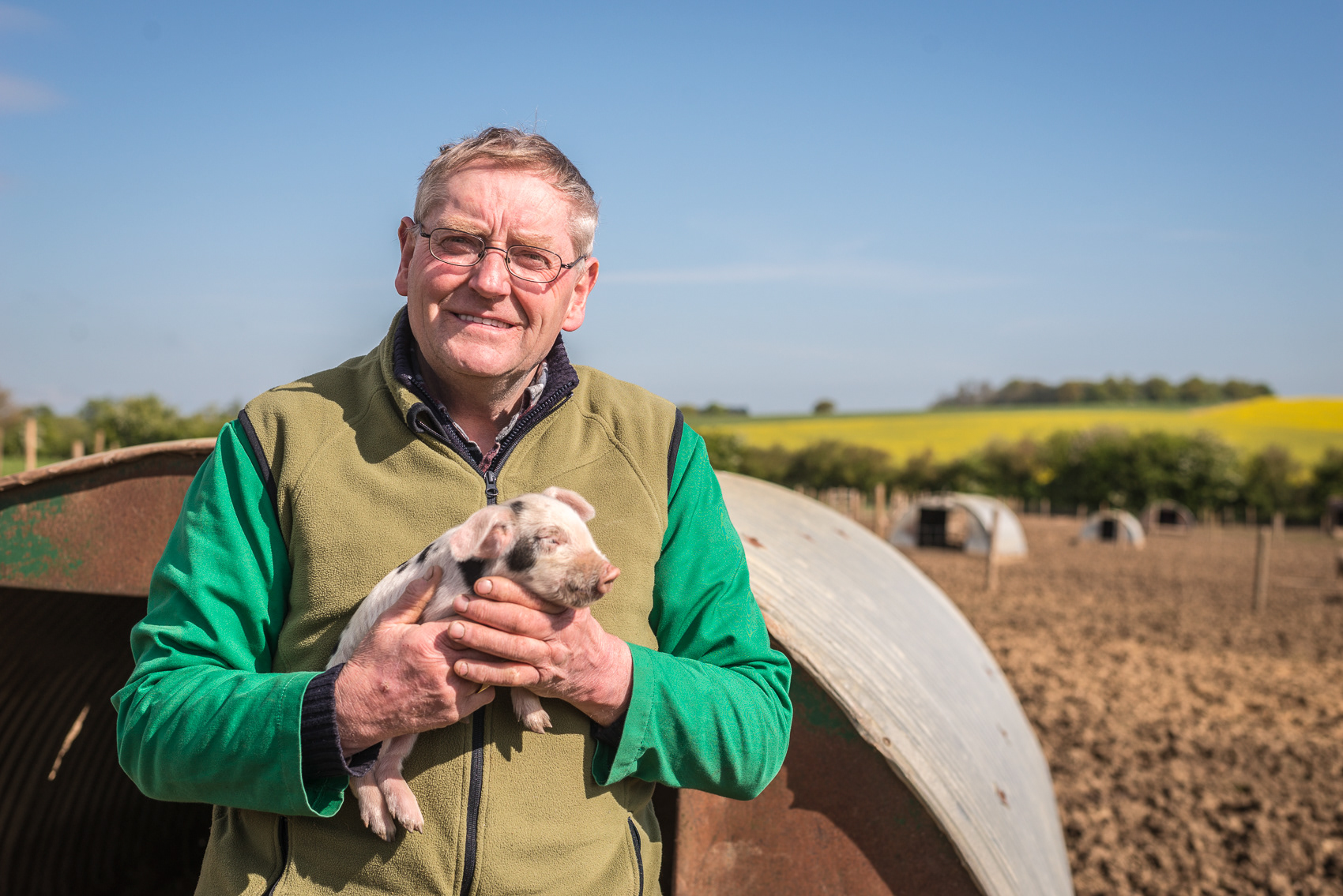 GloucesterOldSpotPigs