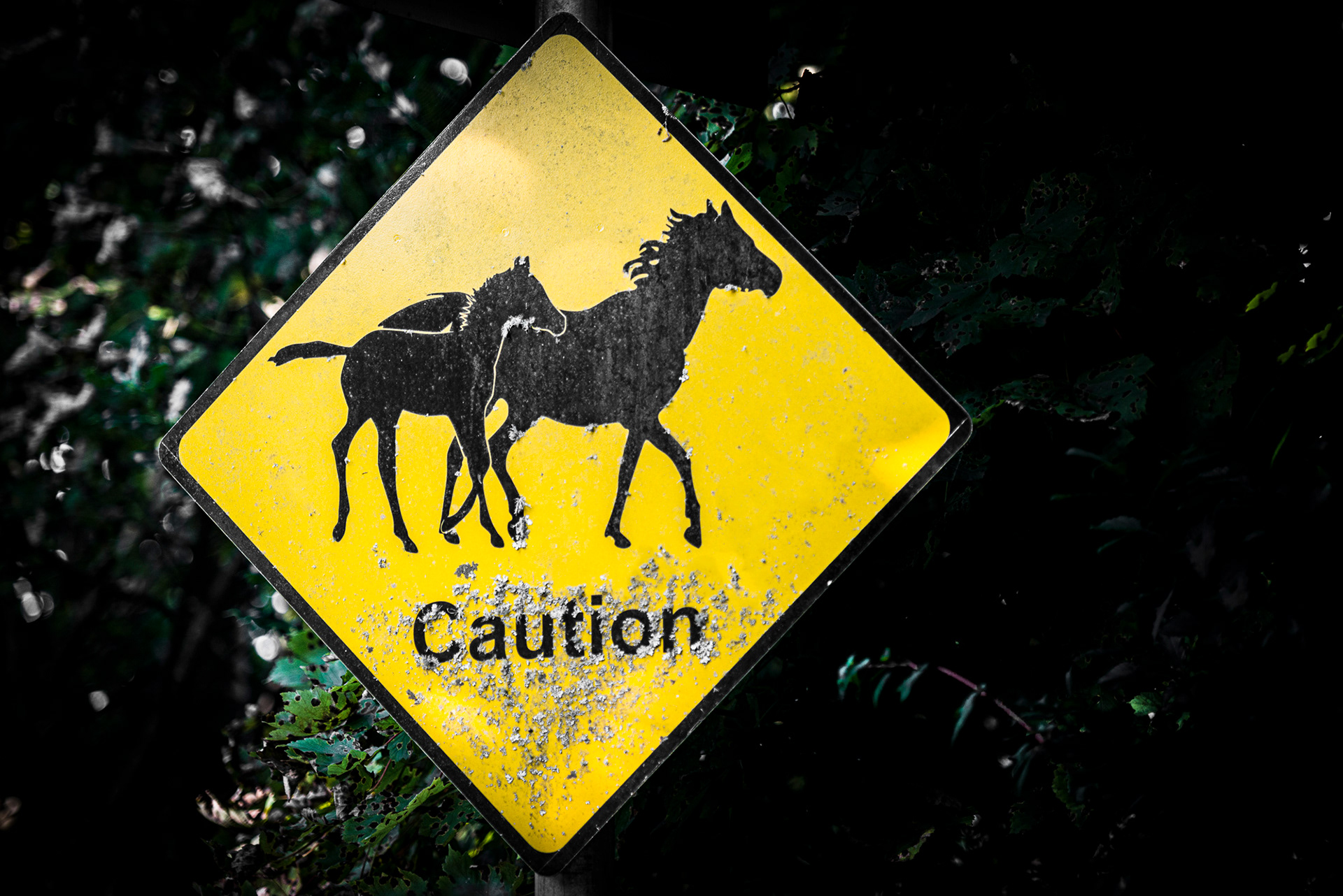 Connemara Road Sign