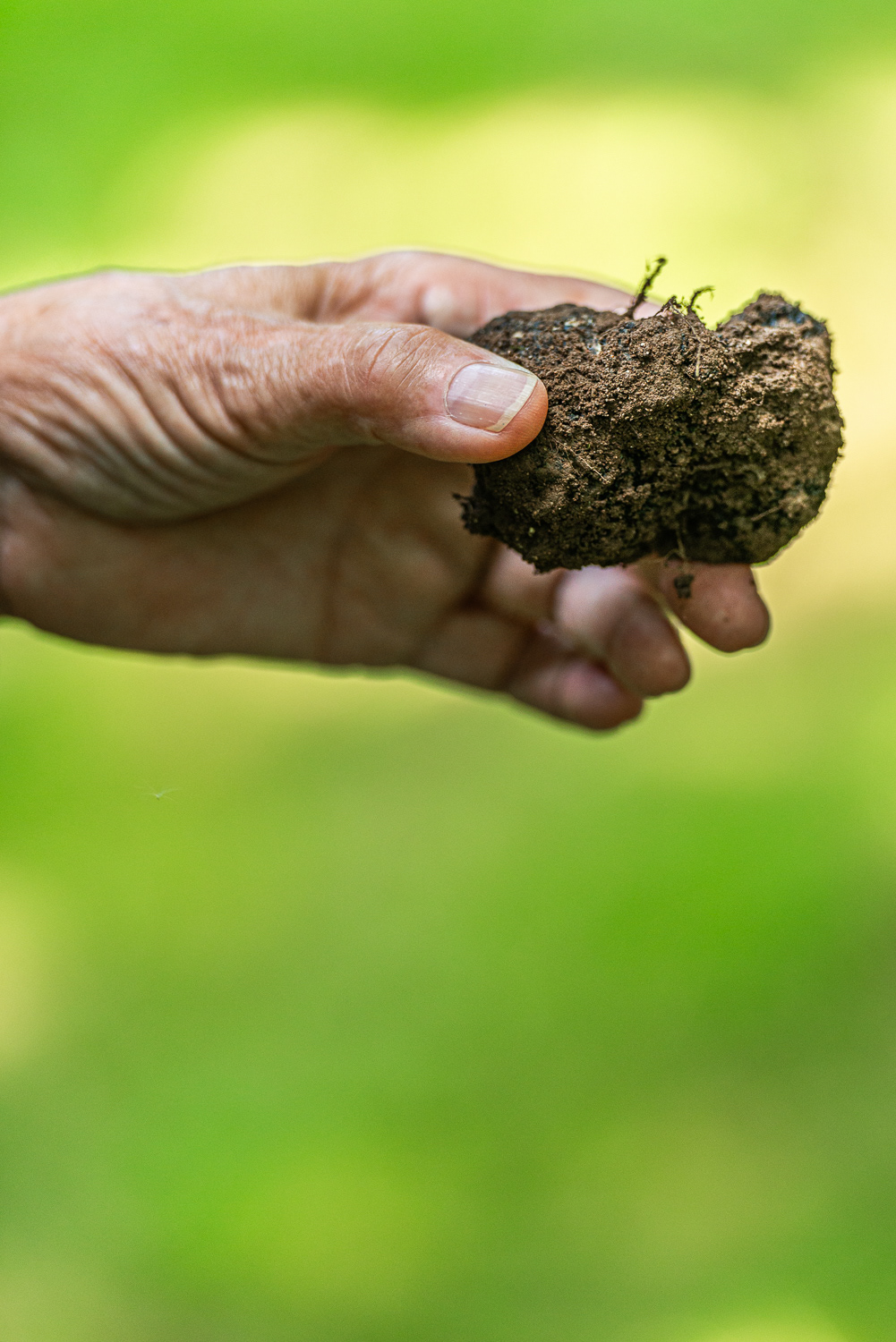 Shropshire Truffle