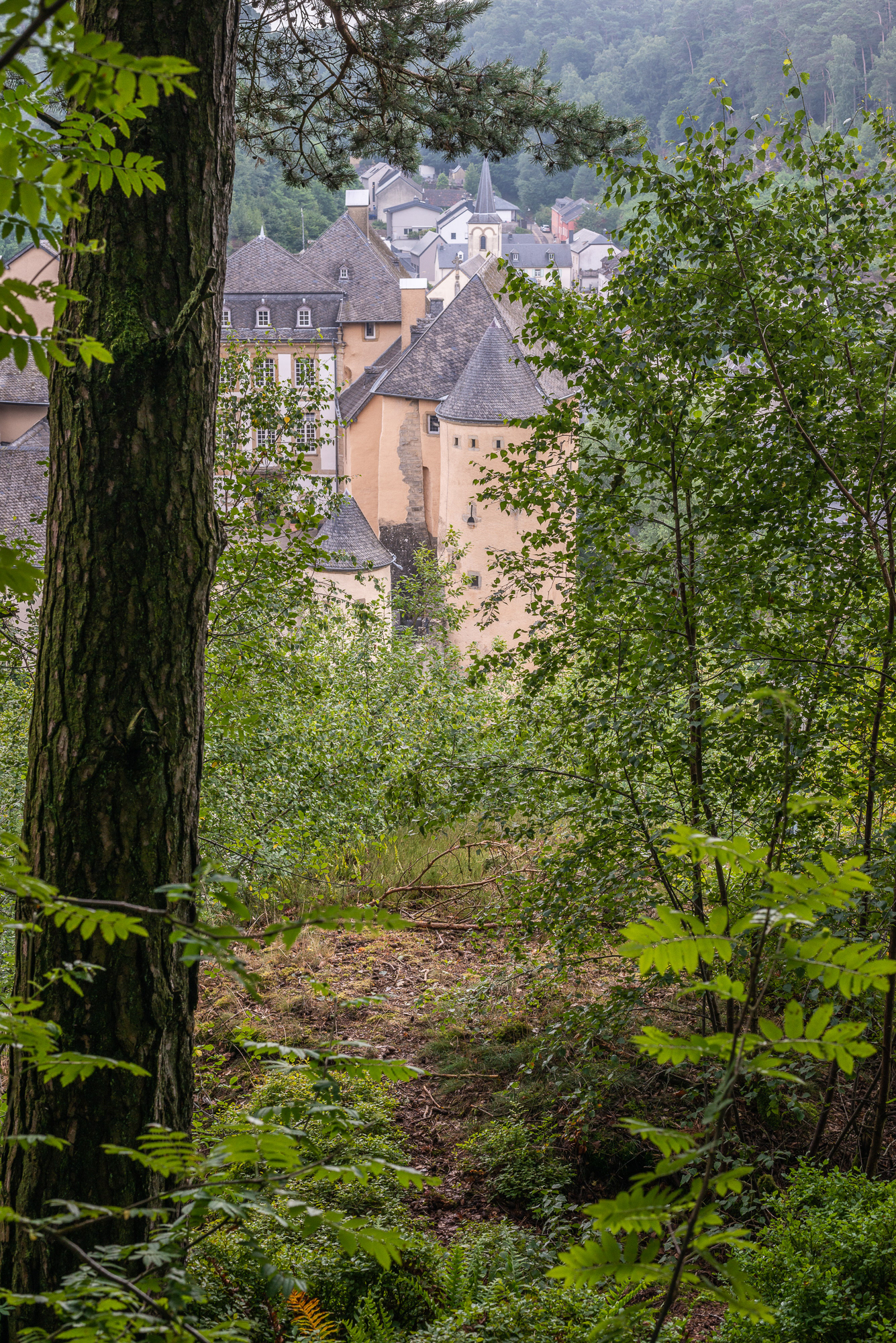 Bourglinster Castle - Woodland Views - Mullerthal Region (Little Switzerland)